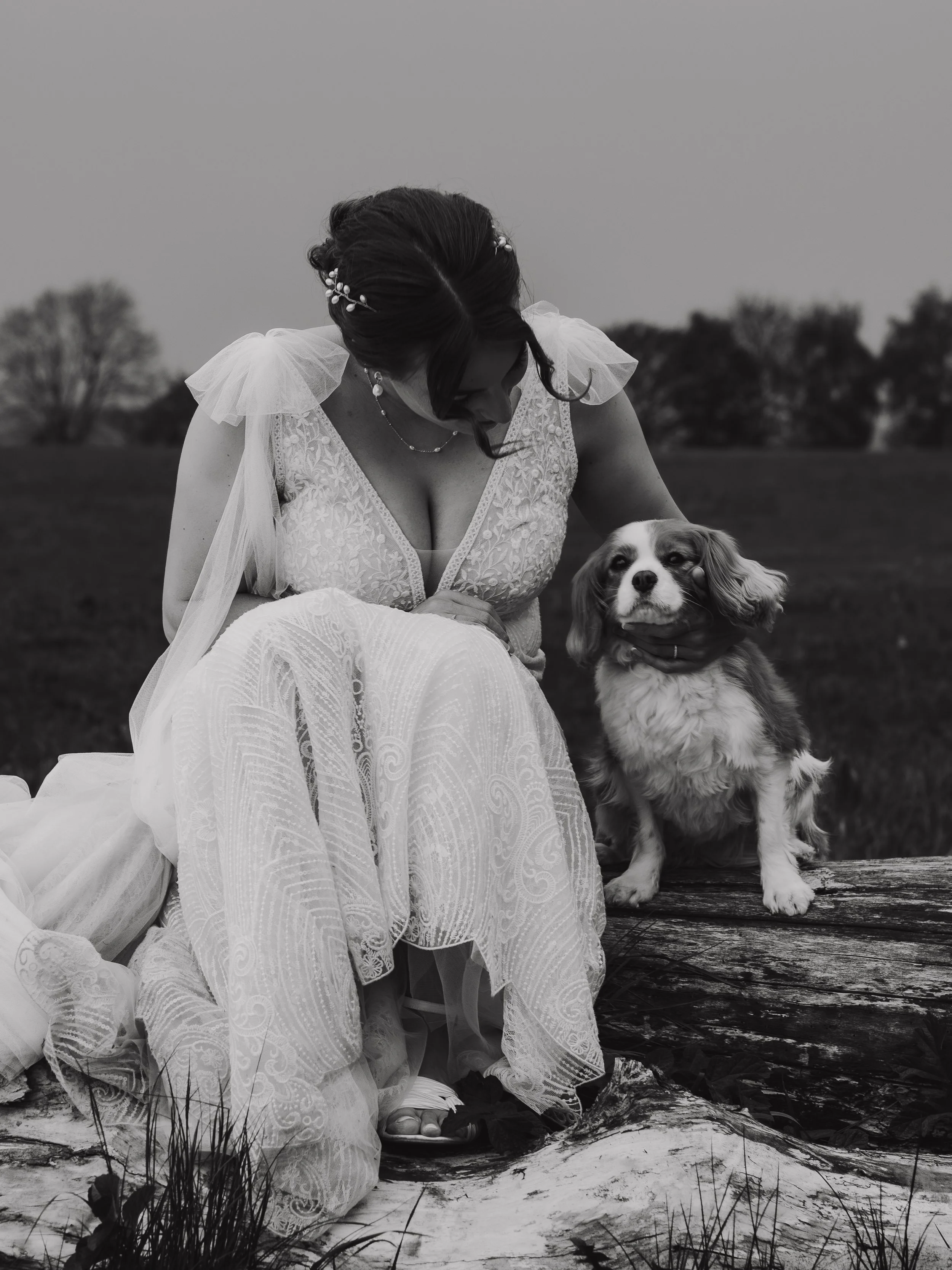 A woman in a wedding dress sitting on a log outdoors, holding a small dog, with trees in the background.