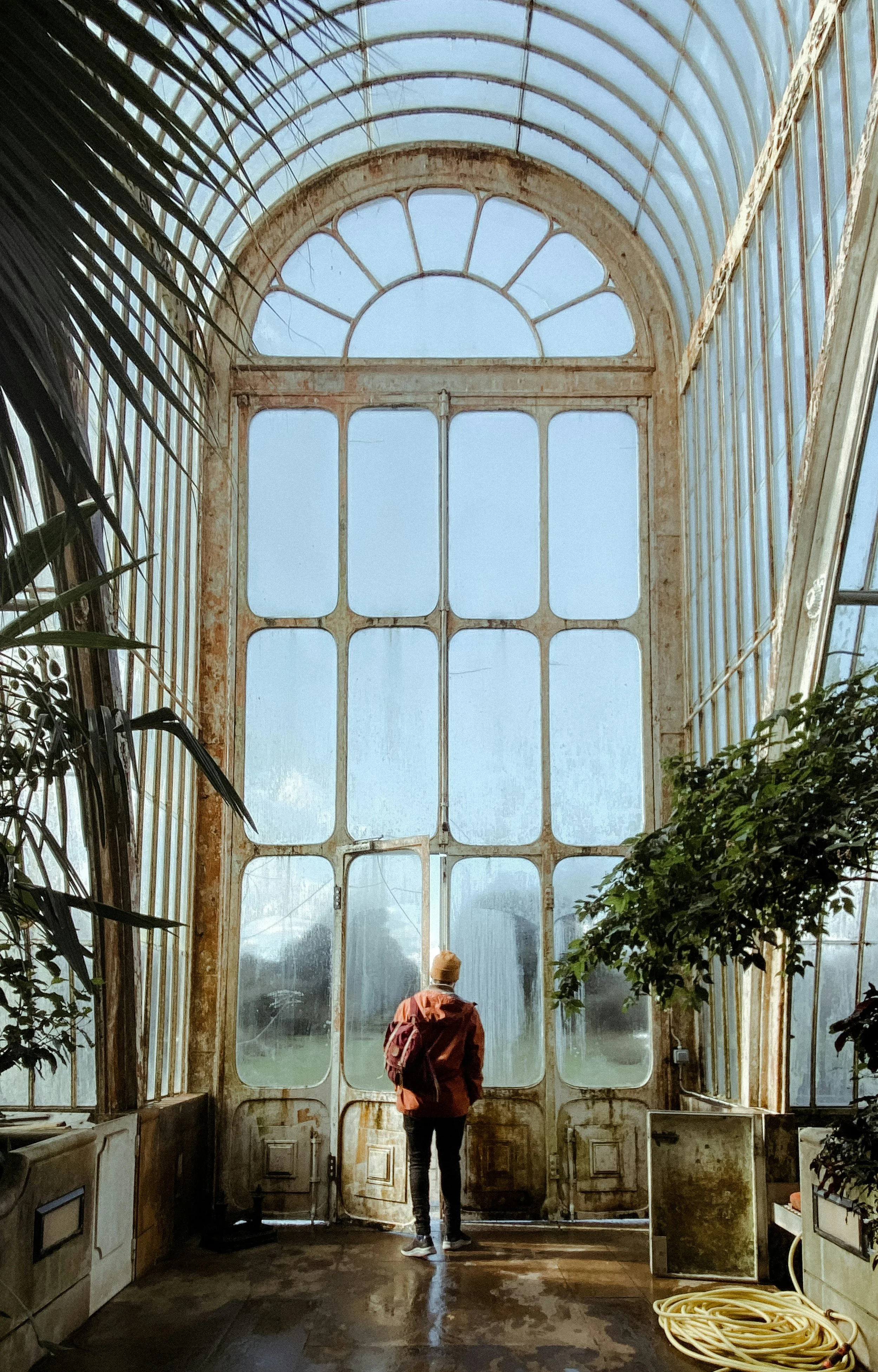 A person with a backpack standing in front of large, old glass windows in a greenhouse or conservatory, with greenery and plants around.