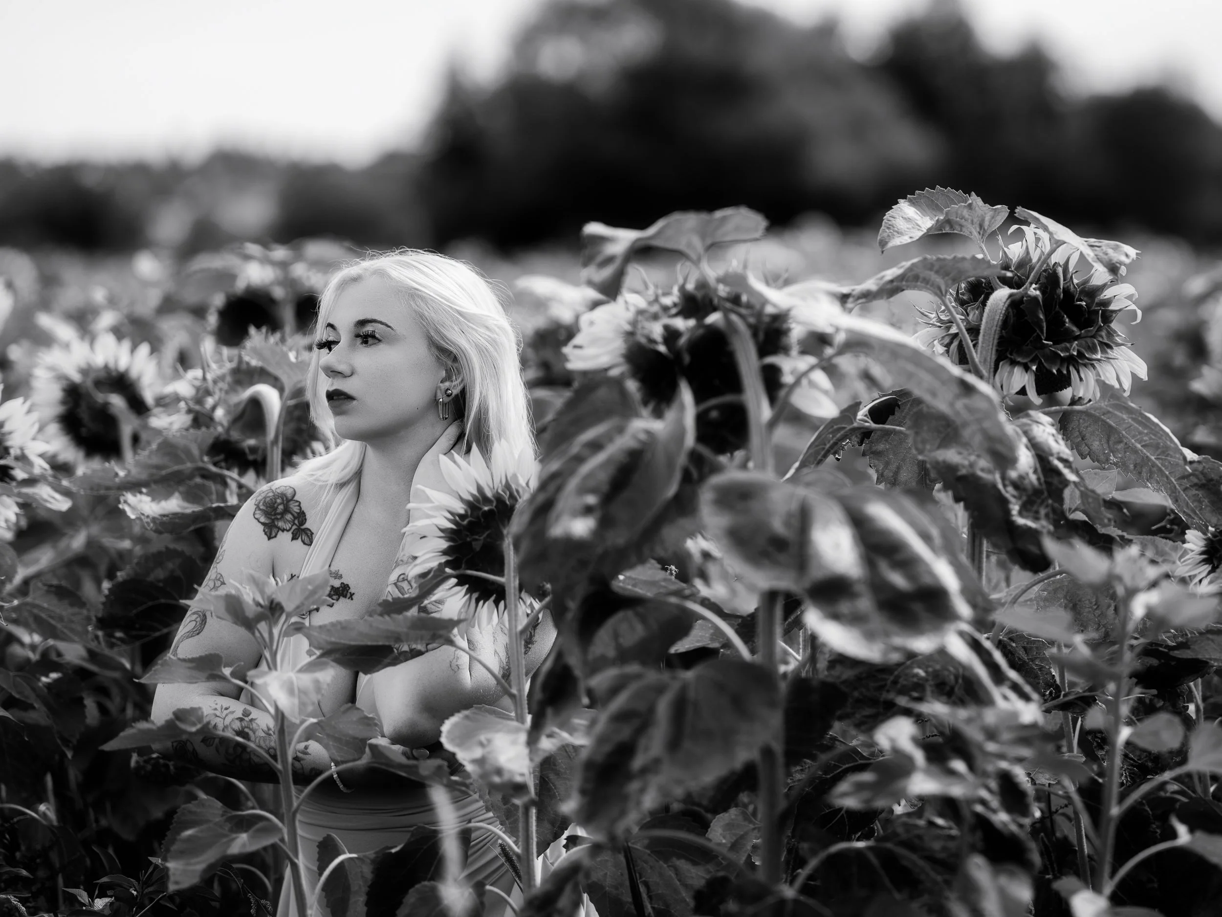 Schwarz-weiß-Foto eines blonden Mädchens mit Tattoos im Sonnenblumenfeld, blickt seitlich, umgeben von Sonnenblumen.
