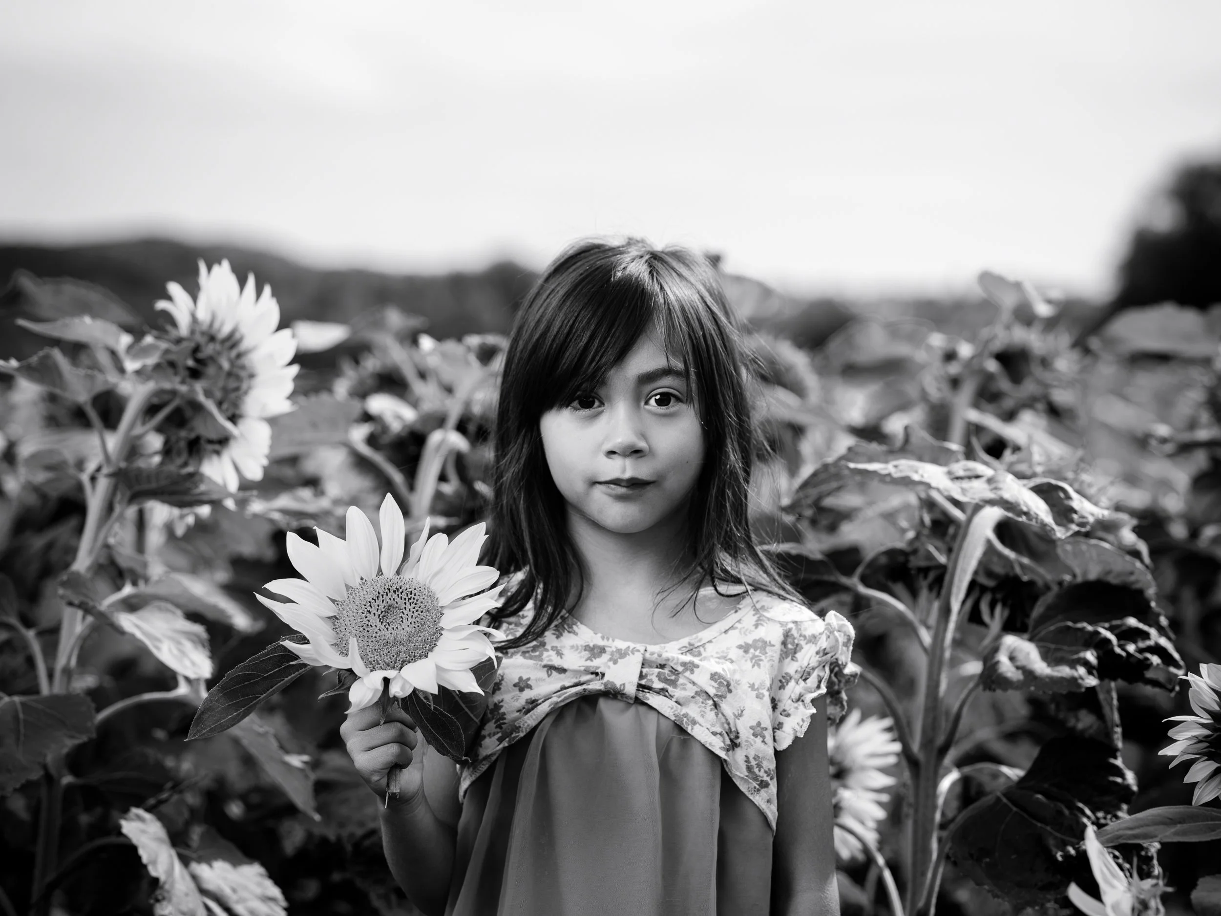 Ein junges Mädchen steht in einem Sonnenblumenfeld und hält eine Sonnenblume in der Hand, in schwarz-weiß aufgenommen.
