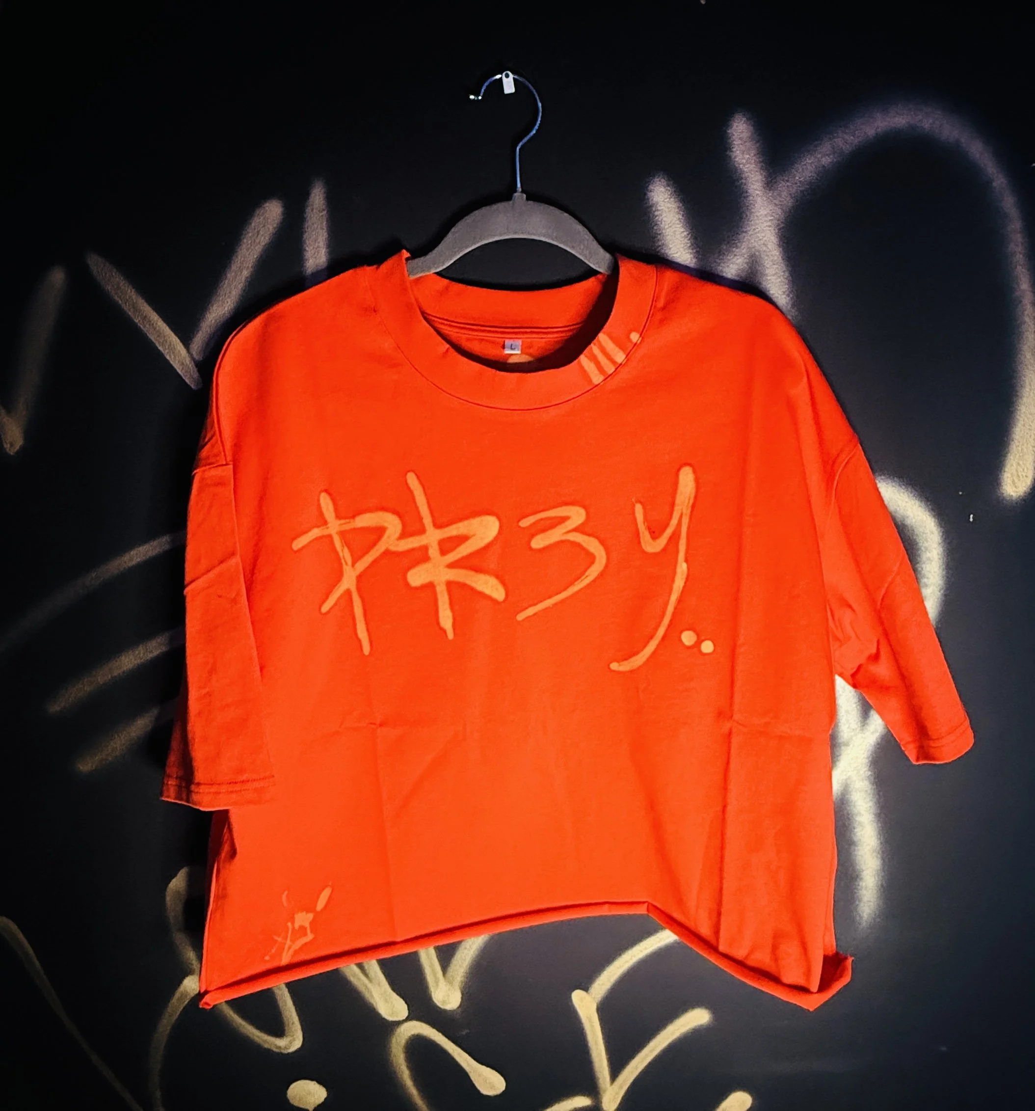 Pheonix Red HYBRID CROP T-SHIRT " HUMBLE BEGINNINGS" 11.28.25