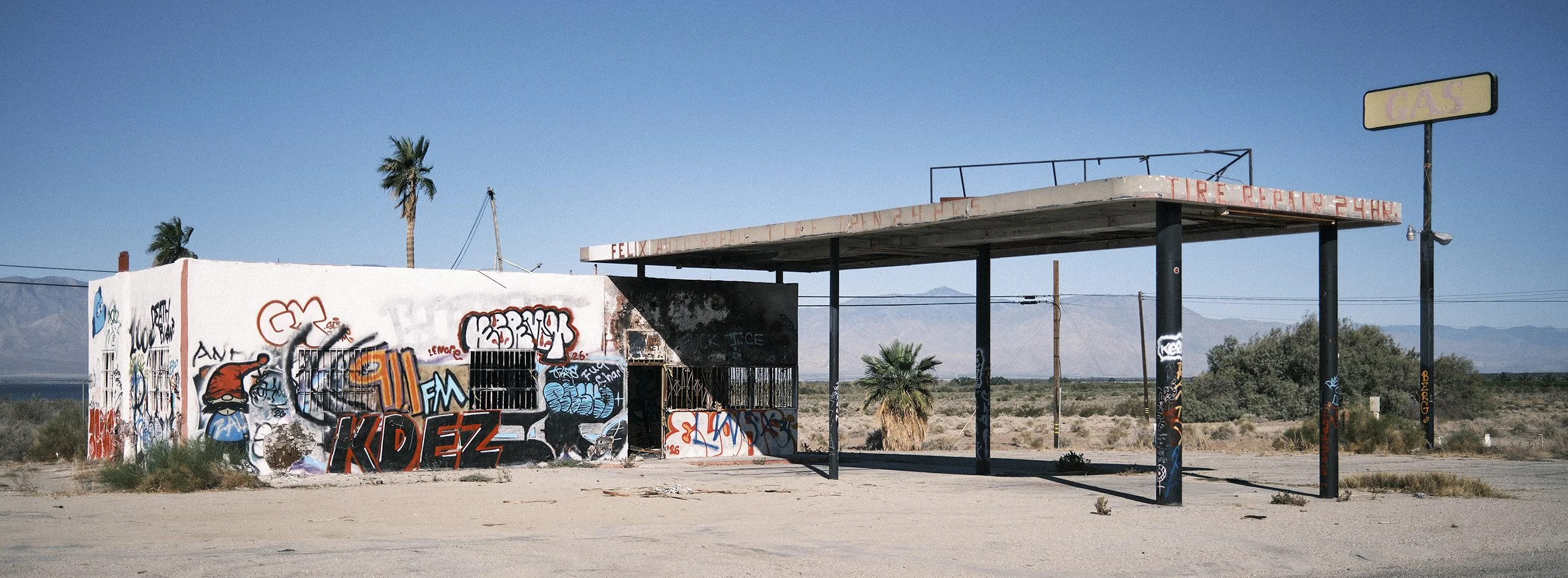 Salton_DSF1915_17x22.jpg
