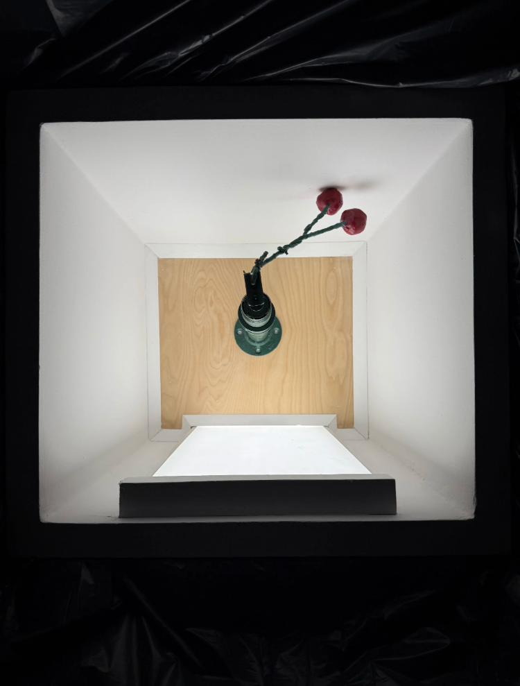 Kian Mckeown | Cherry