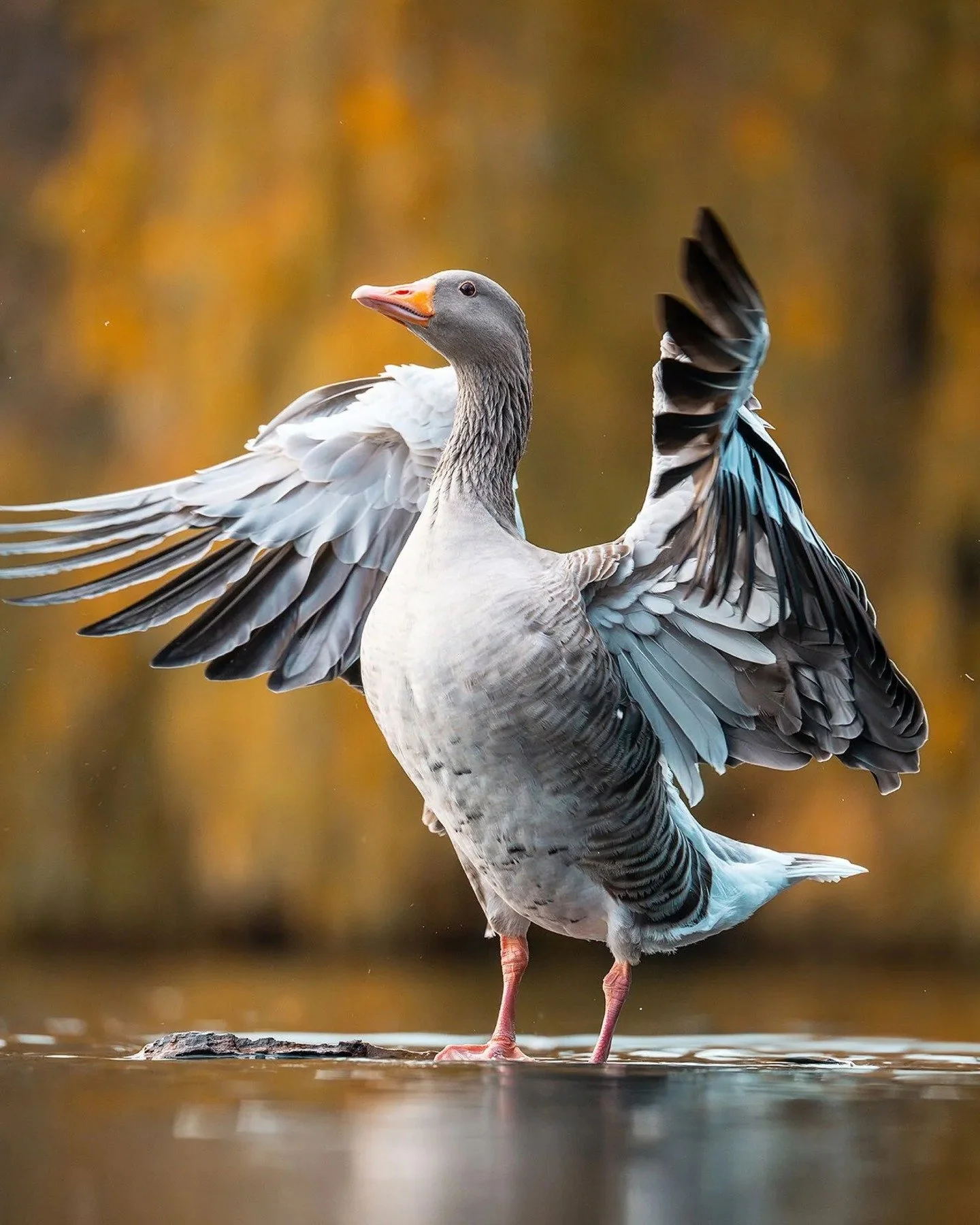 🚀 Tamron 150-500mm F/5-6.7 Di III VC VXD
For full-frame mirrorless &ndash; now in a surprisingly compact form.

Experience uncompromised image quality, even at 500mm, with:
&bull; ⚡ Ultra-fast, precise autofocus
&bull; 🤲 VC image stabilization for 