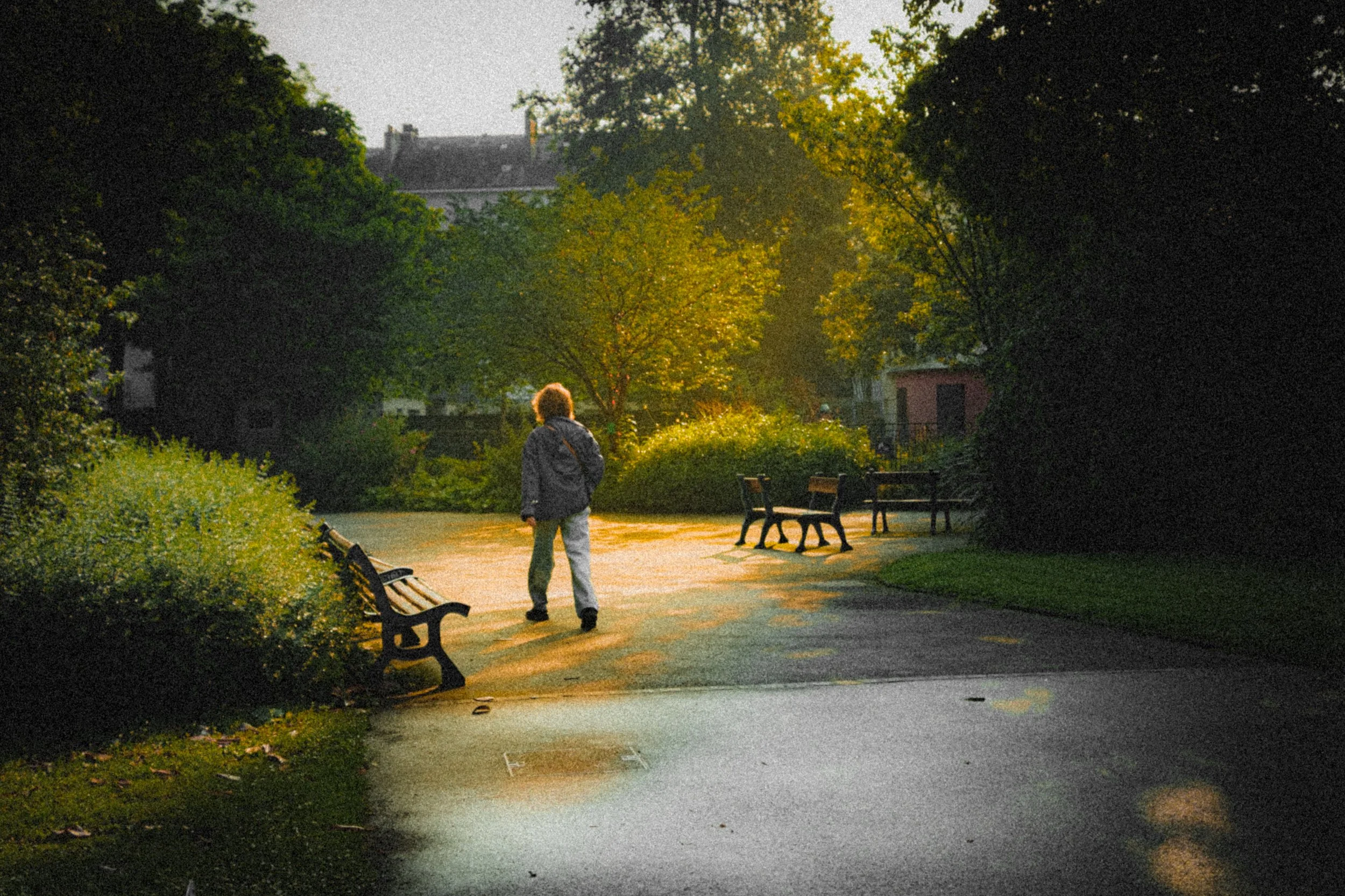 
Personne aux cheveux bouclés, en veste grise, marchant dans un parc au coucher du soleil. Bancs, arbres et chemin mouillé visibles, lumière dorée sur la scène.