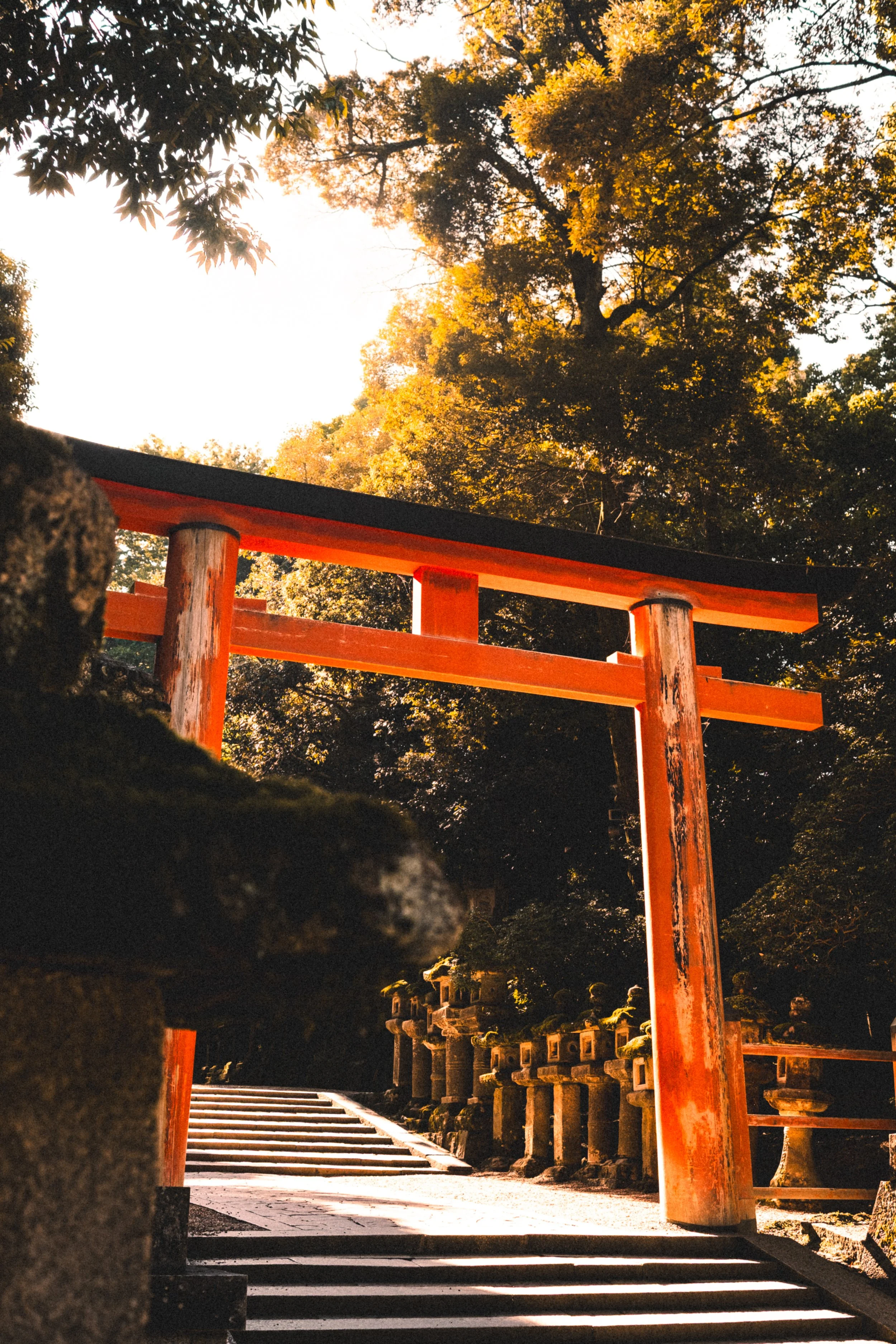 
Torii rouge traditionnel dans un sanctuaire japonais, entouré d’arbres et de lanternes en pierre le long d’un chemin pavé.