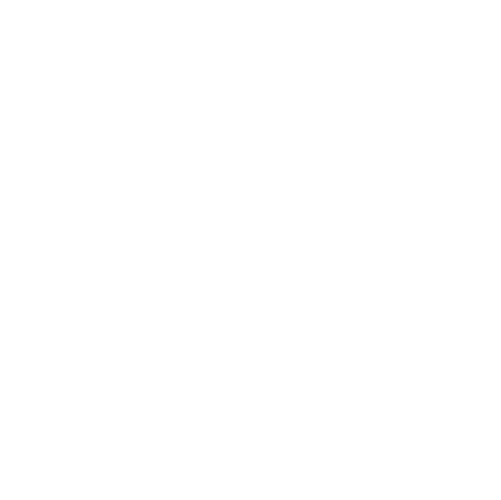A shield with a lightning bolt inside it, representing protection or security.