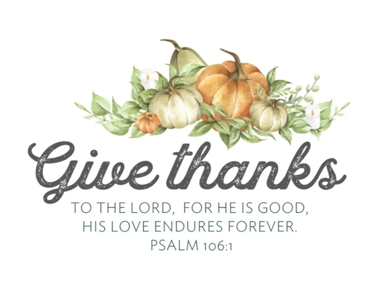 Thanksgiving Week Update