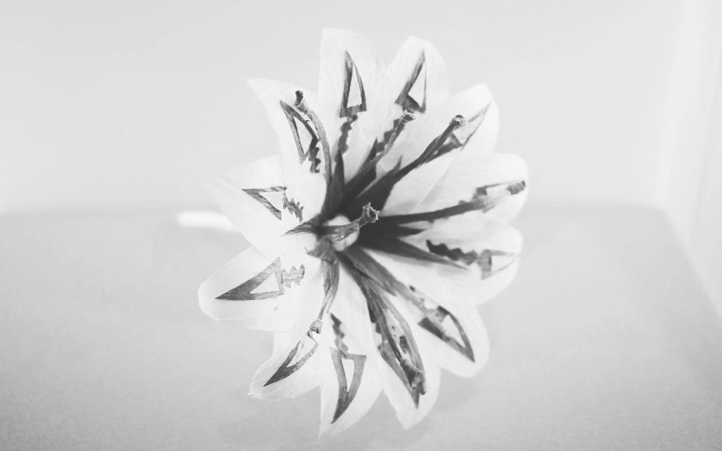 Black and white close-up of a flower with a paper or paper-like material with markings, petals, and a stem.