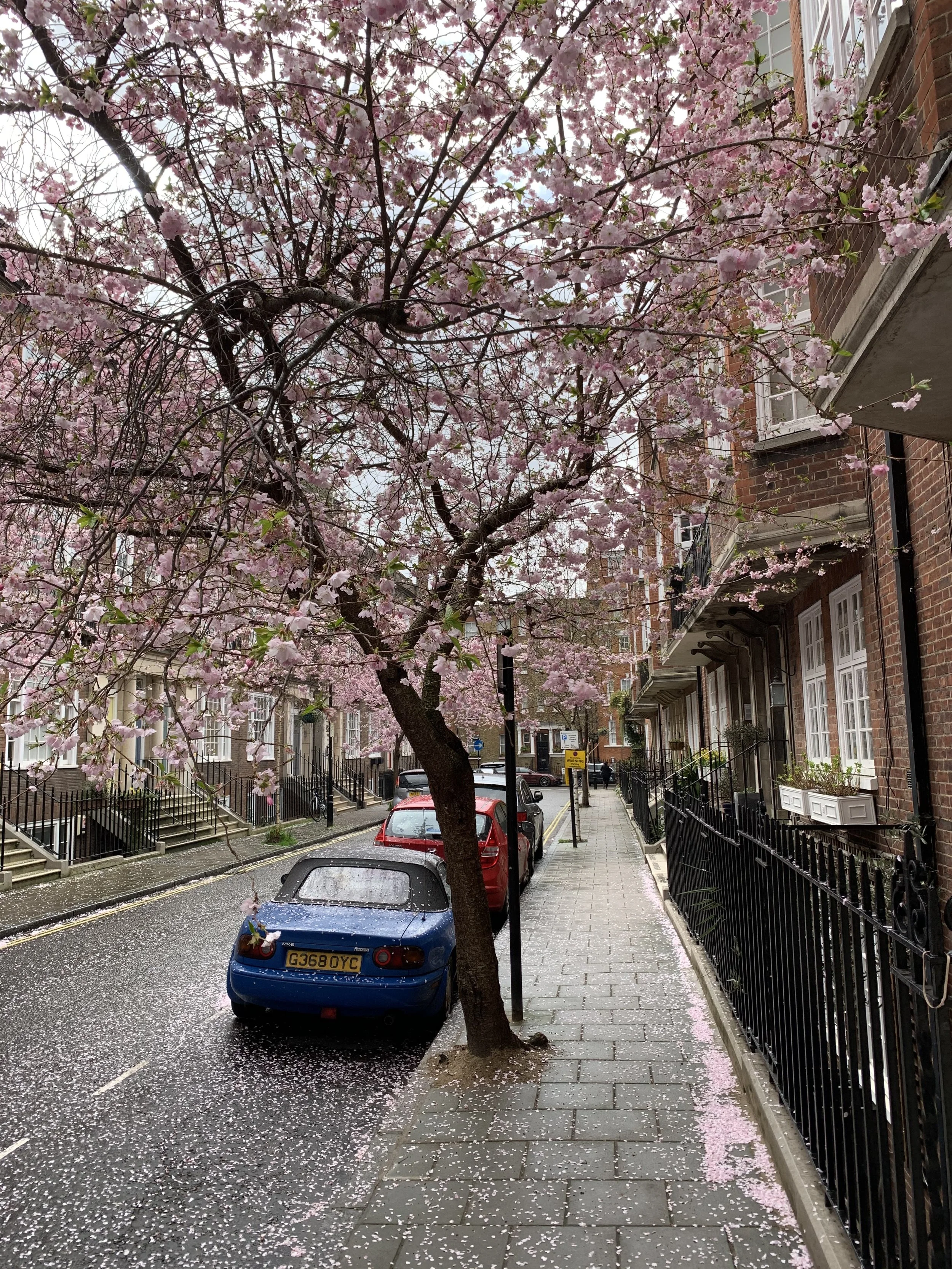 IMG_1048.jpeg