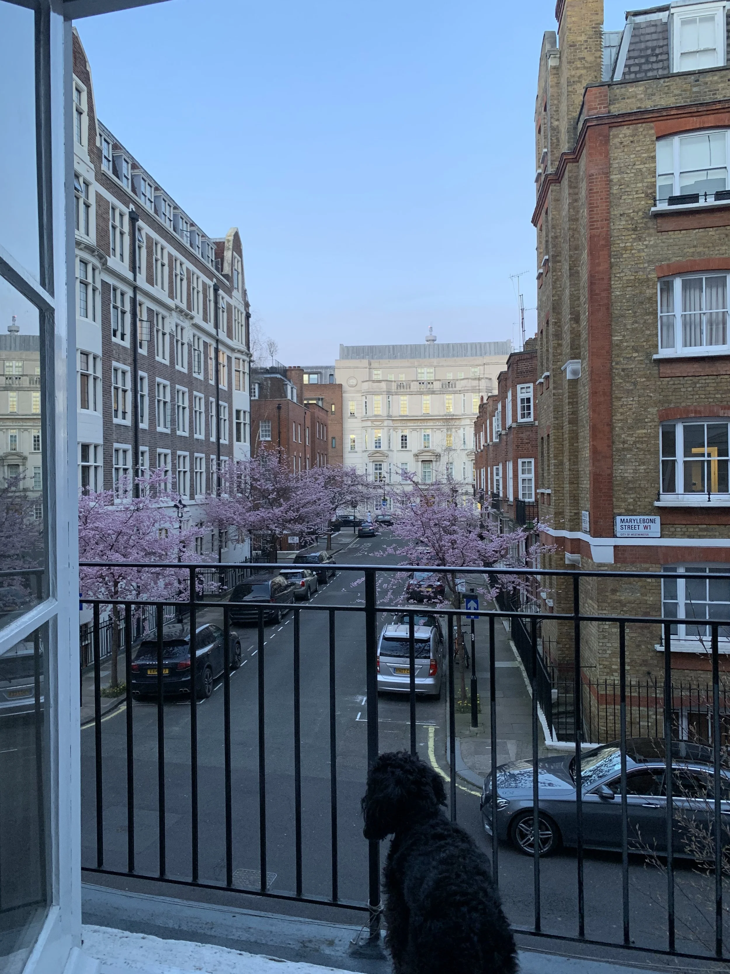IMG_0928 2.jpeg