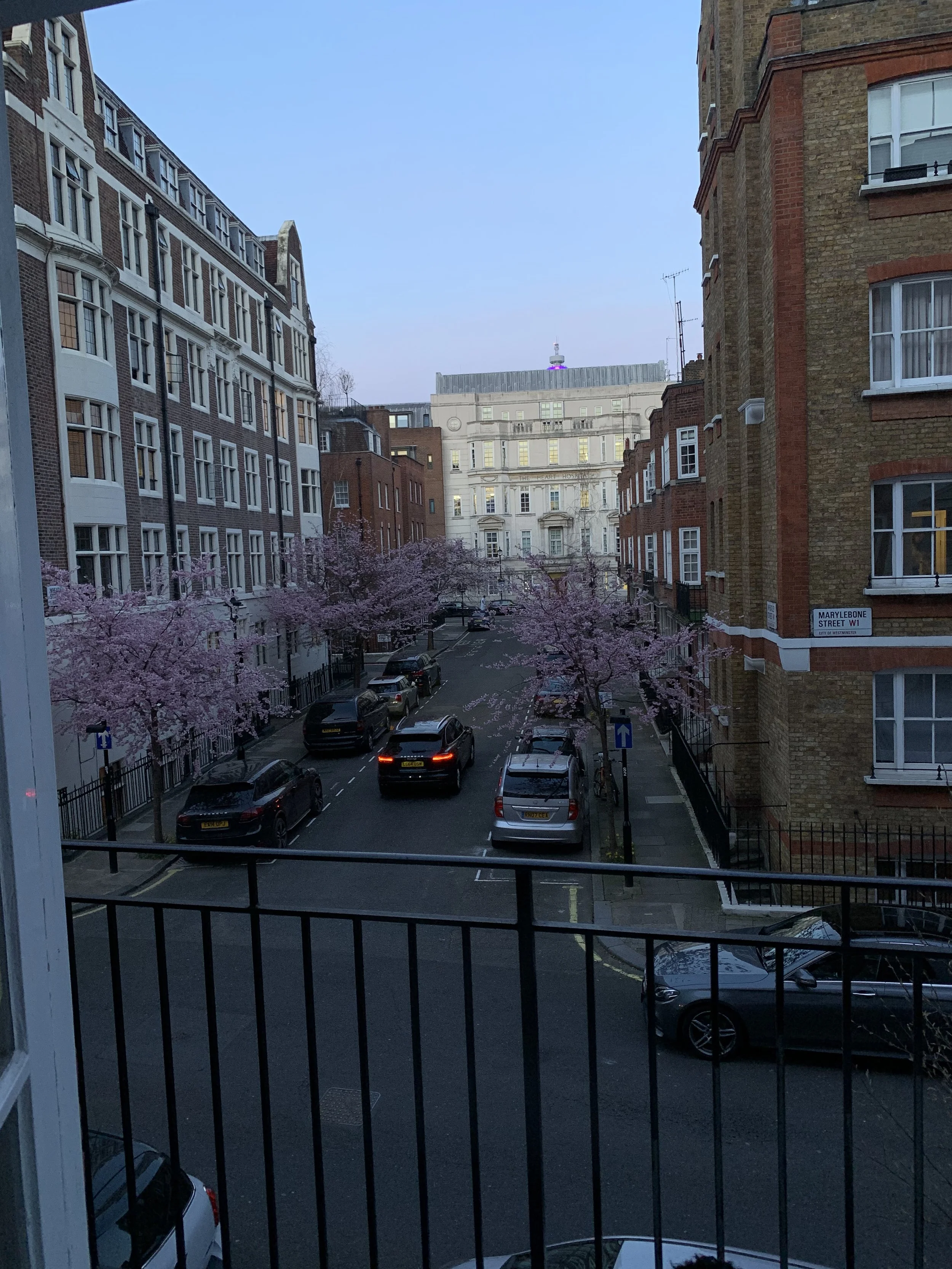 IMG_0934.jpeg