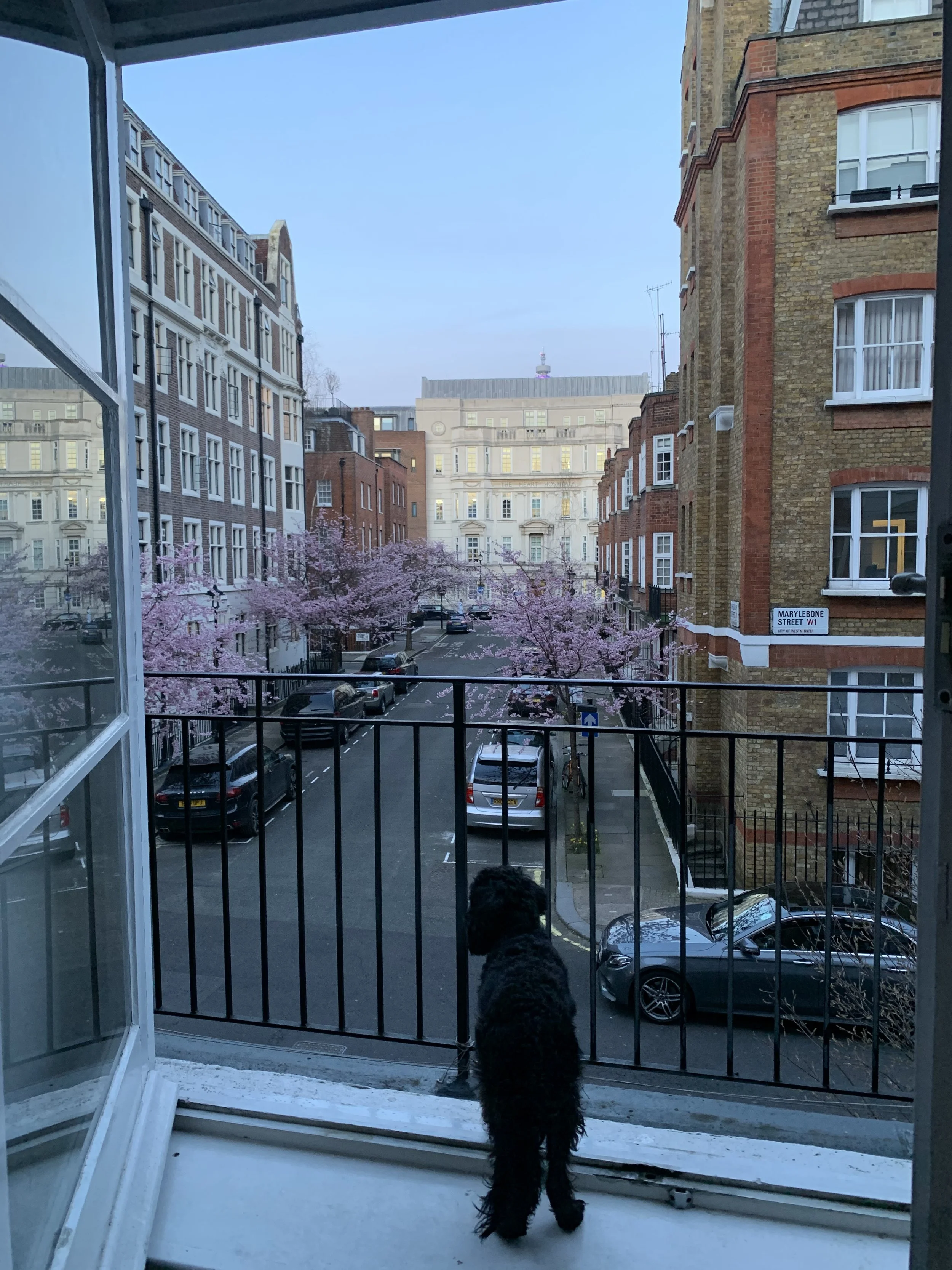 IMG_0925.jpeg