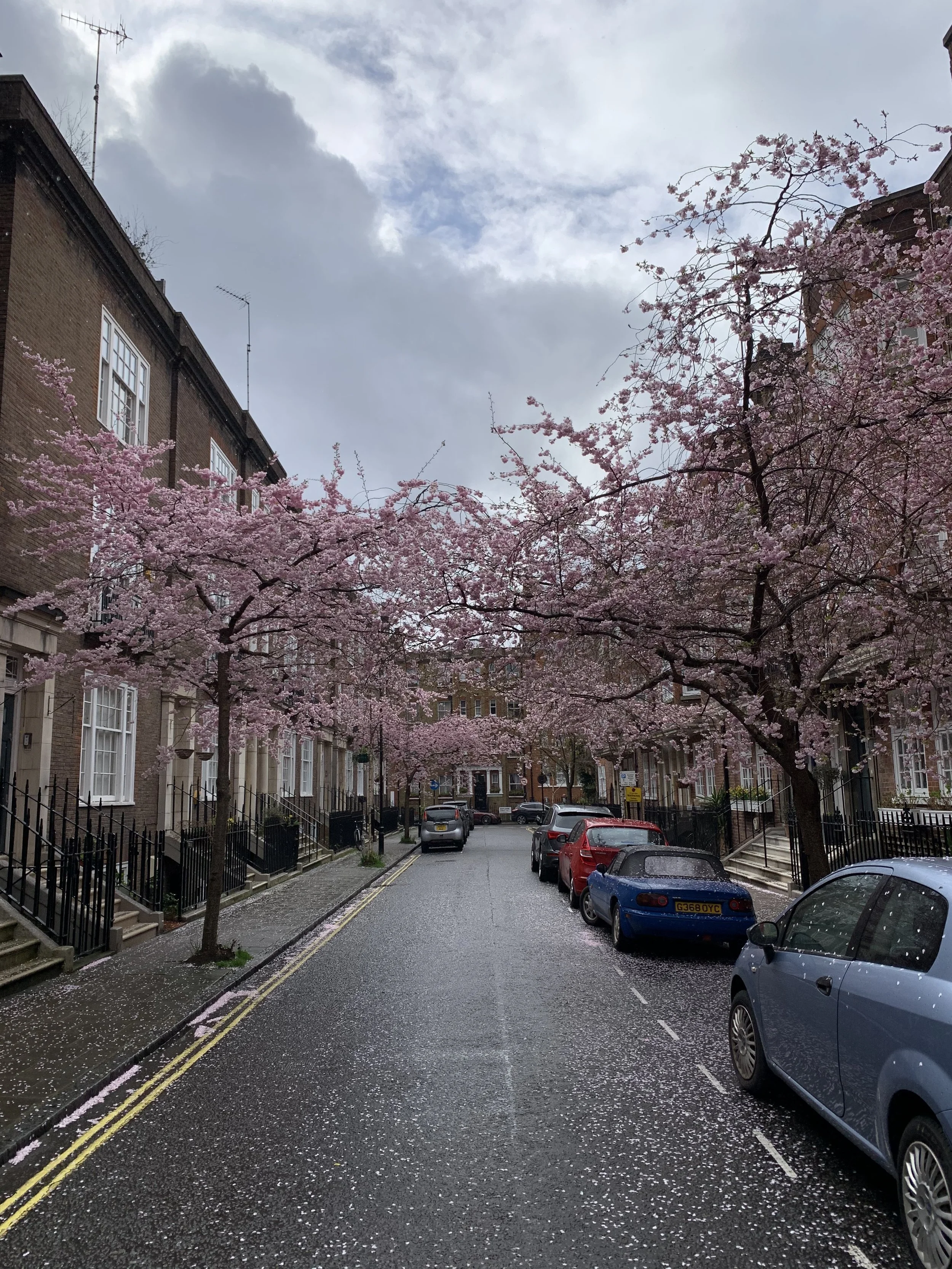 IMG_1049.jpeg