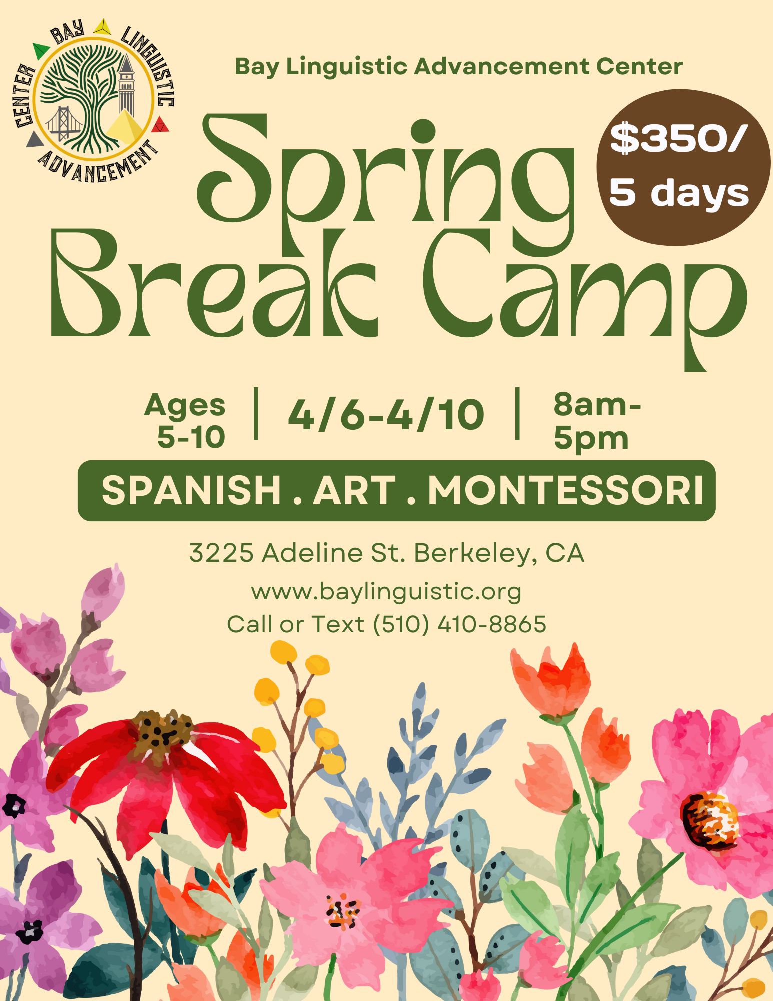 Spring Break Camp