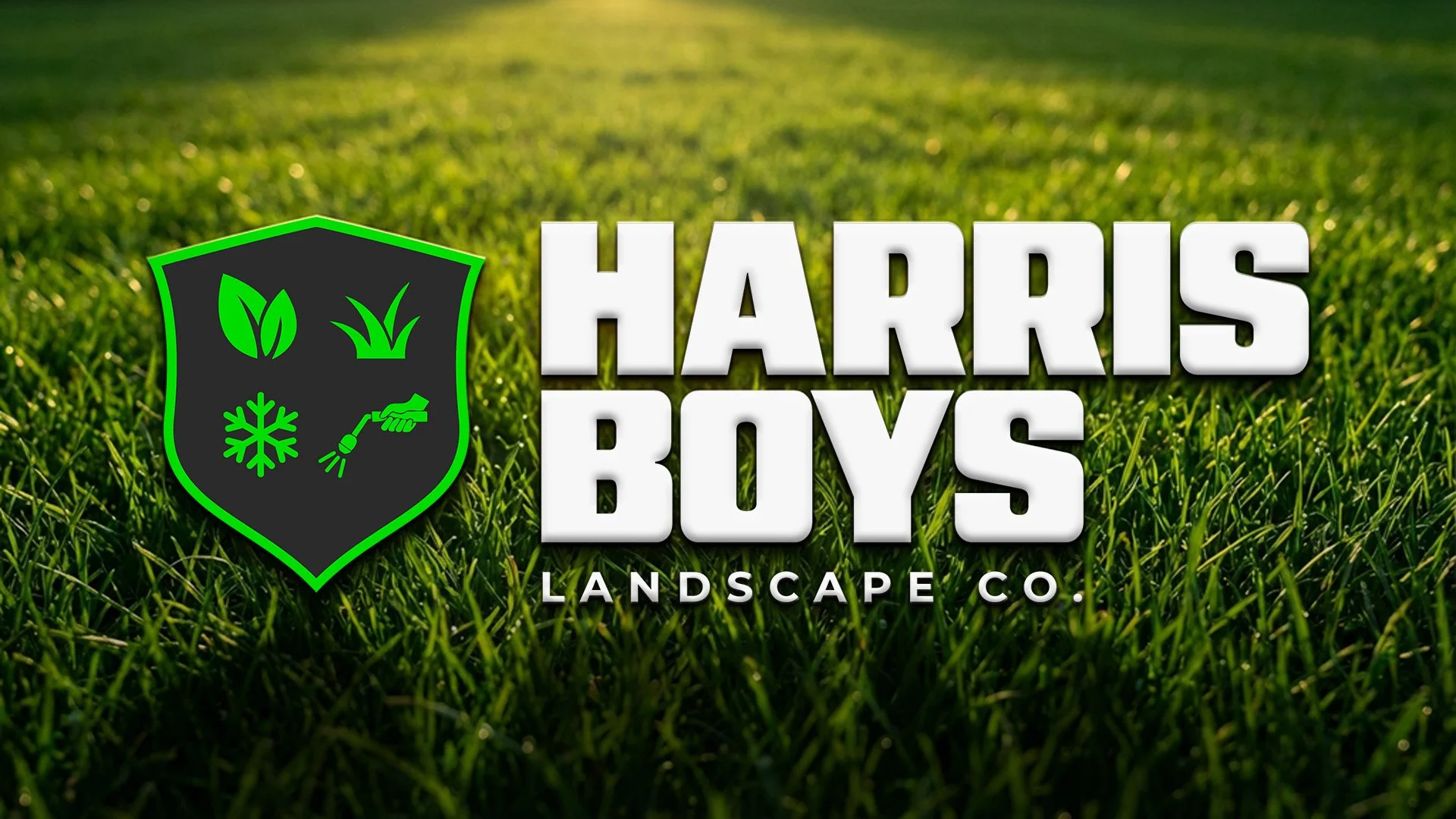 Harris Boys Landscape