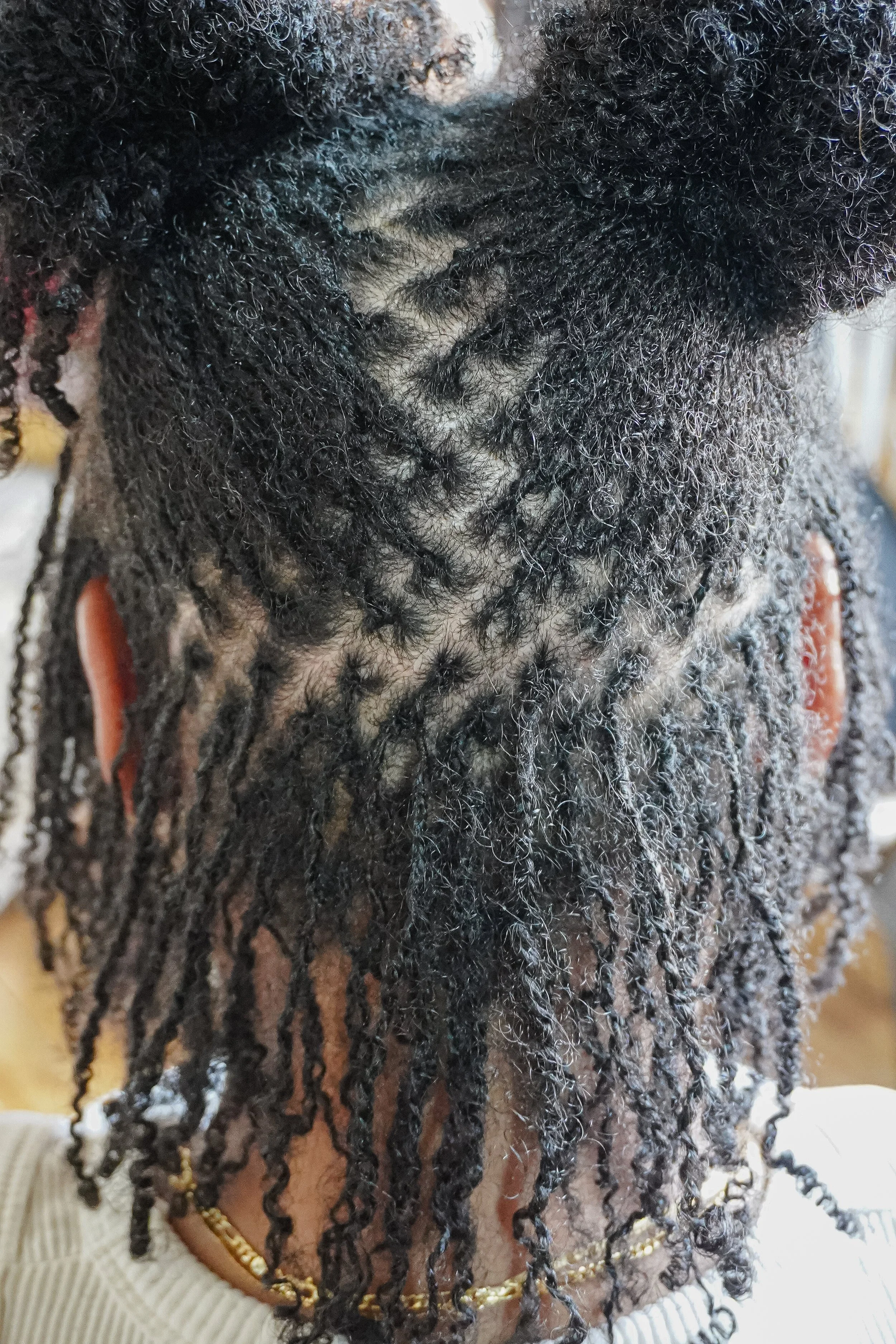 The back of a person's head with natural black dreadlocks, some sections having gray strands, and the hair styled in a loose, freeform manner.