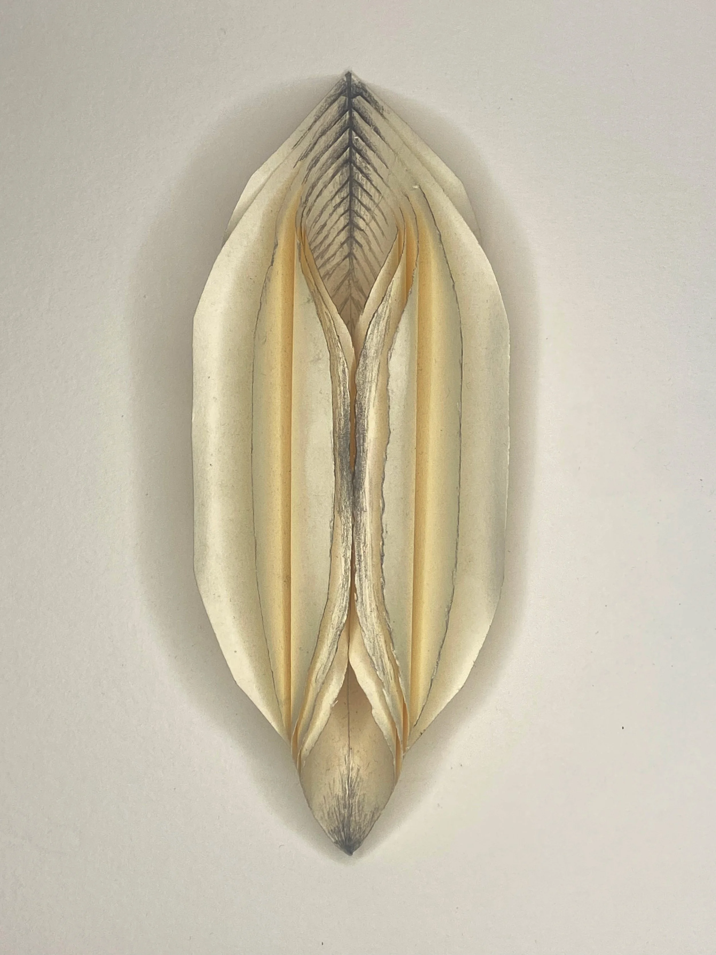 Between the Folds 3.jpg