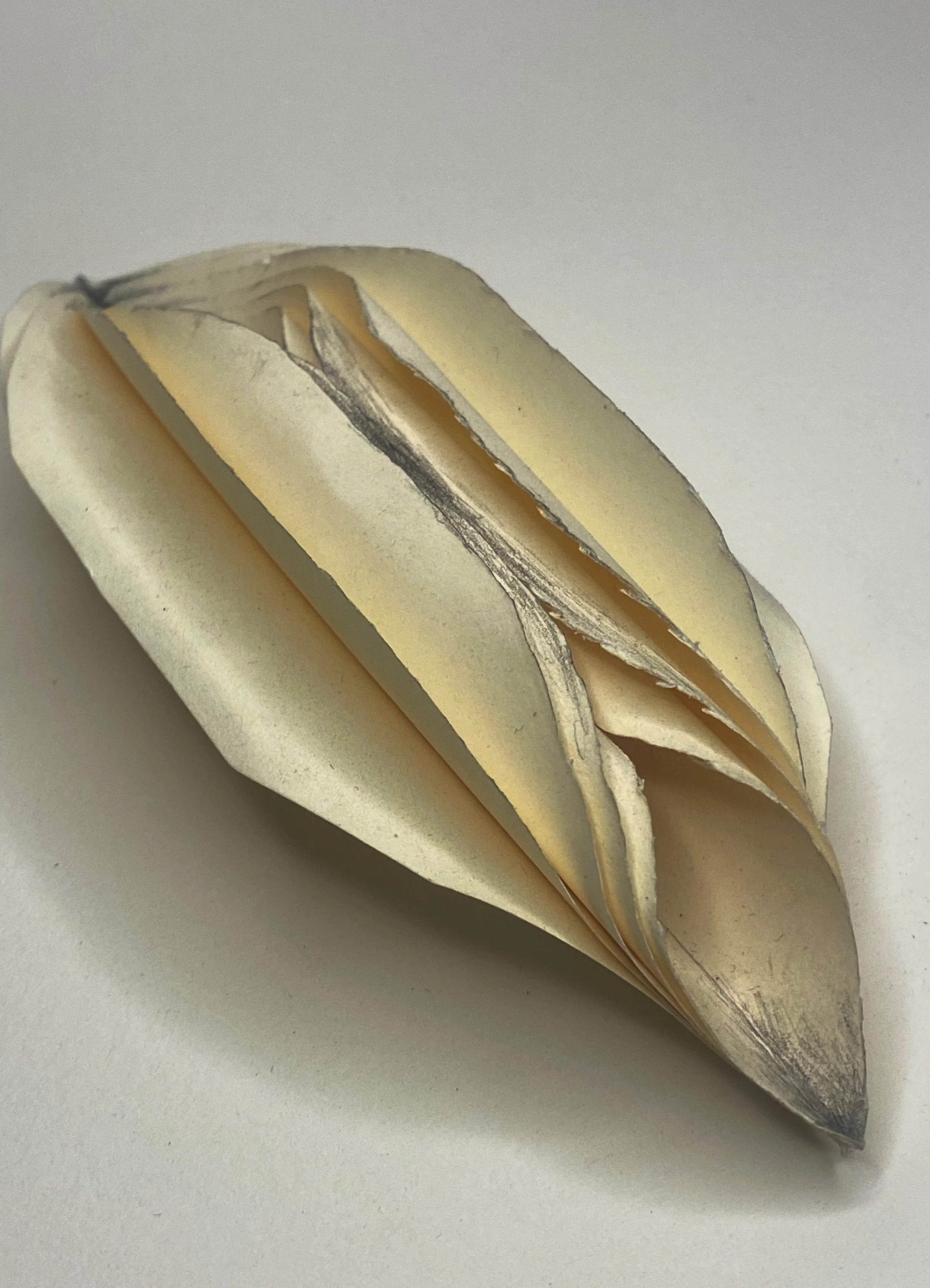 Between the Folds 2.jpg