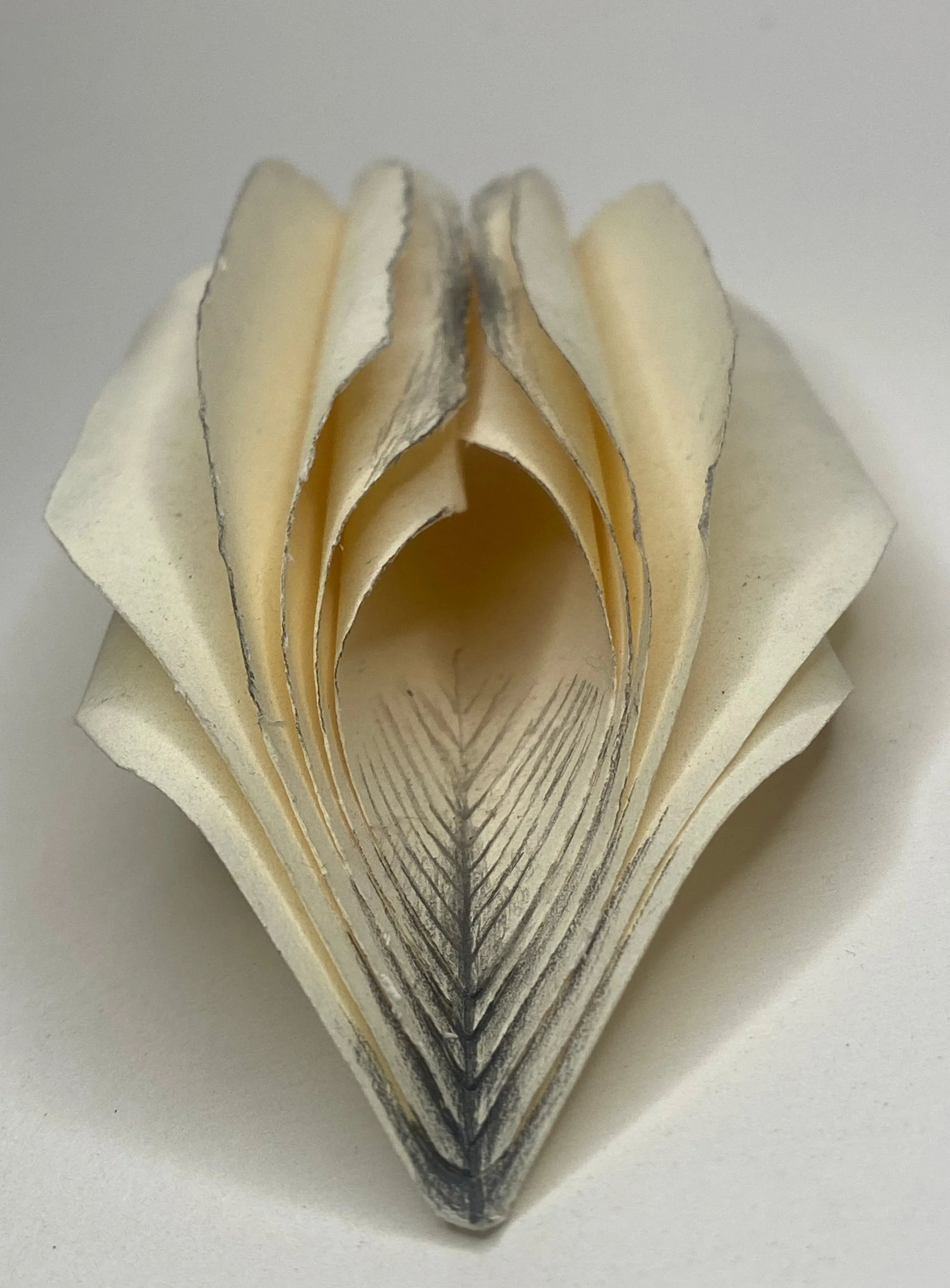 Between the Folds.jpg