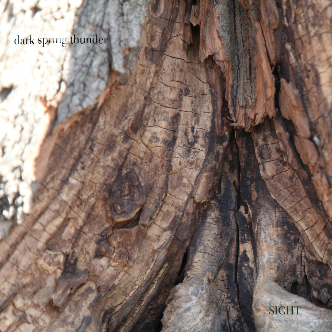 Sight by Dark Spring Thunder available on Bandcamp.