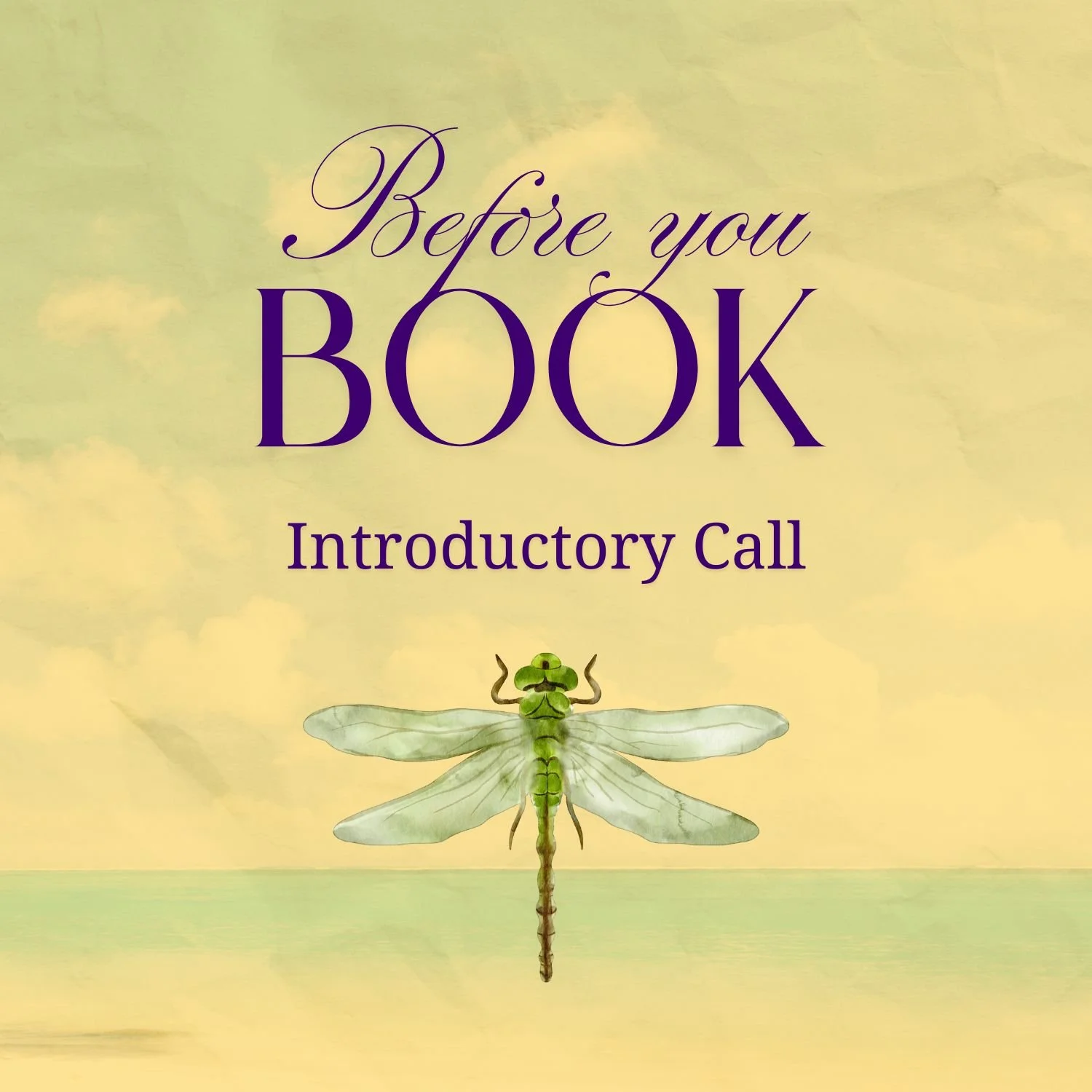 Cover image with light yellow sky background and a green dragonfly at the bottom, titled 'Before you book' in large purple cursive and 'Introductory Call' in smaller purple print.