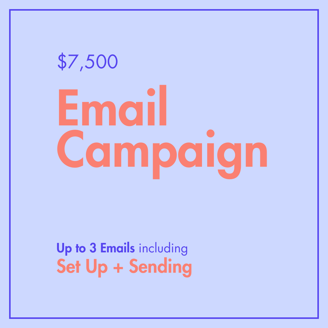 Tiny Little Cosmos - Email Campaign.png