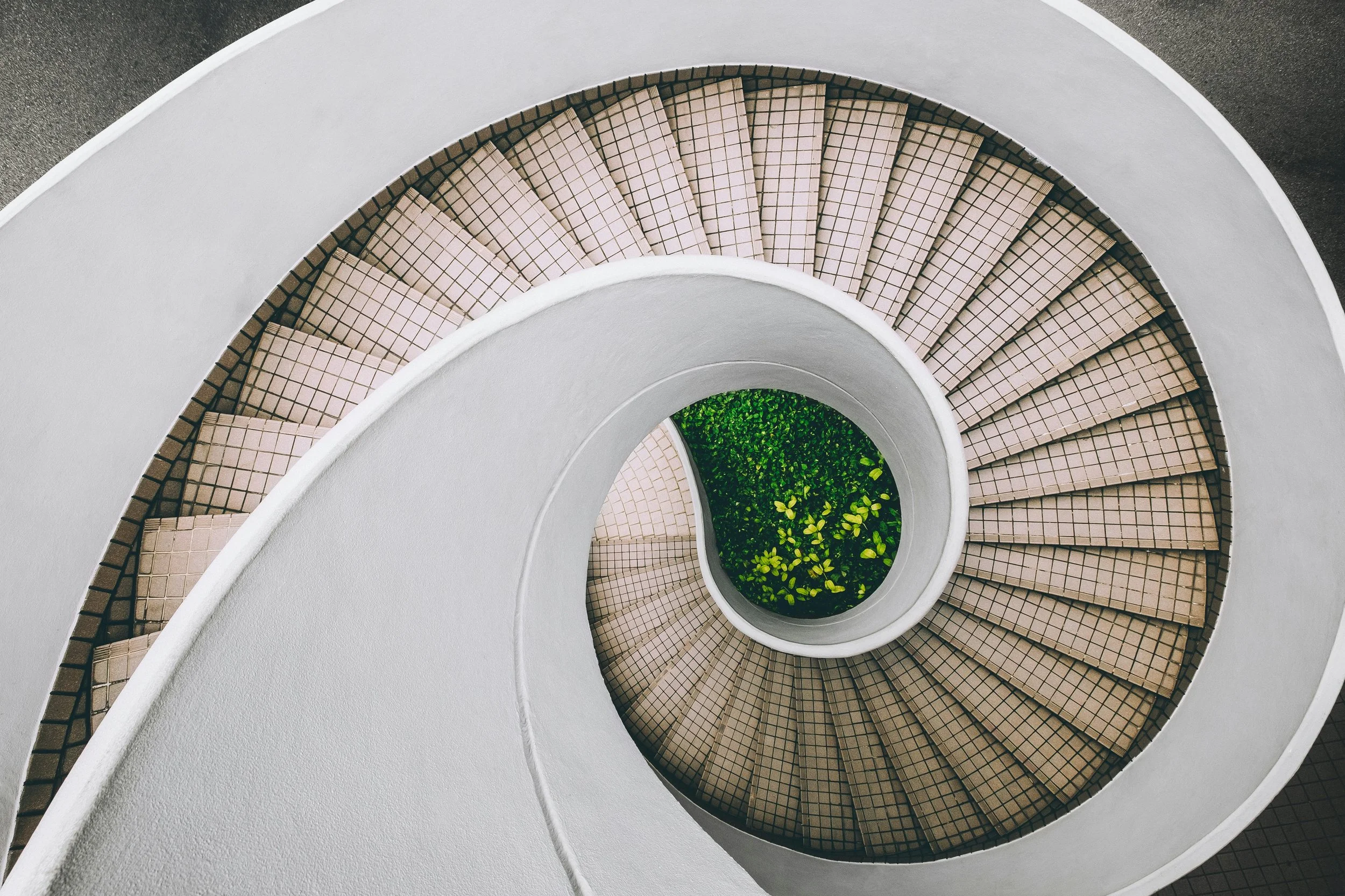 View from above of a spiral staircase with tiled steps and a small round garden with green plants at the center.