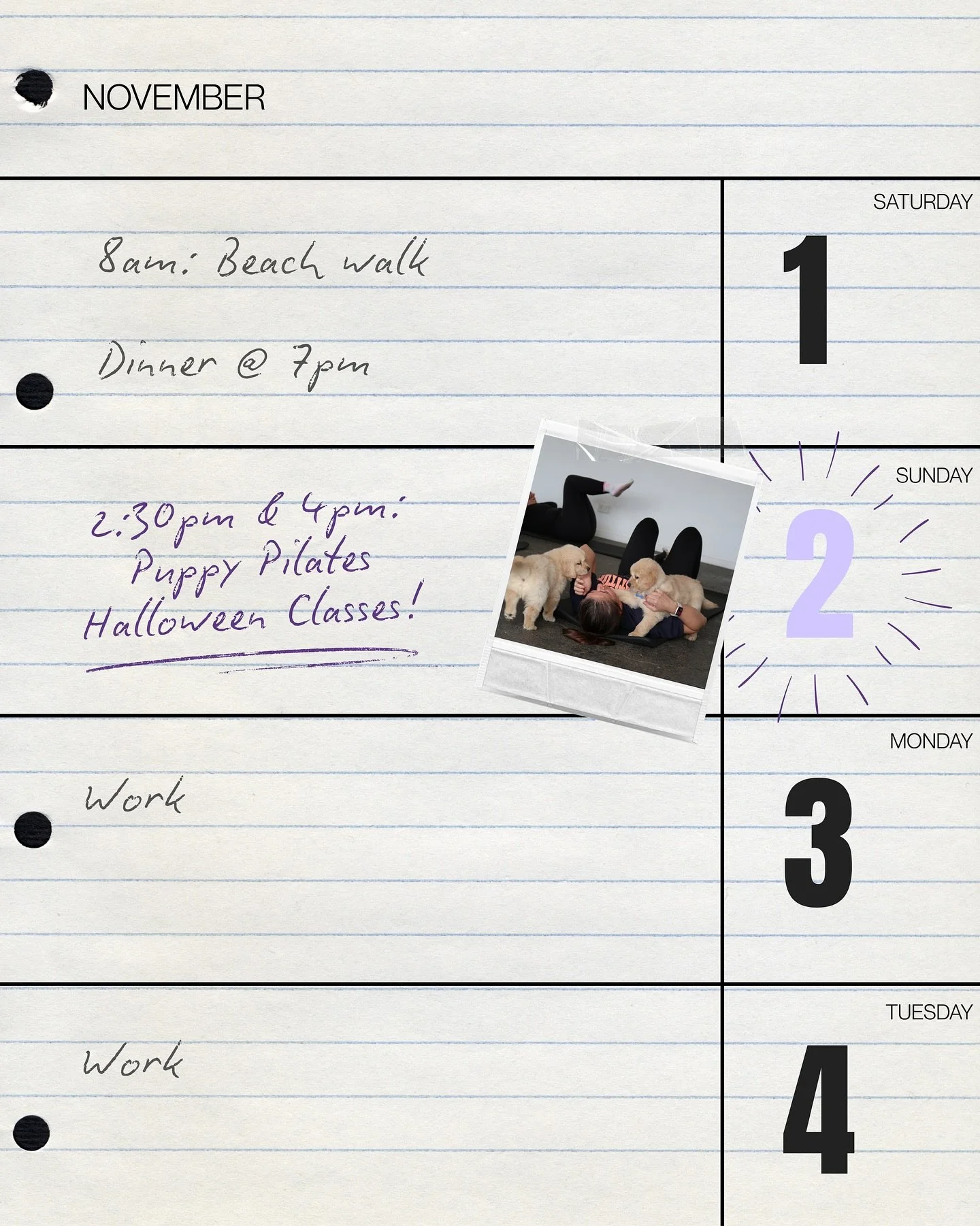 It's getting cloOoOoOser 👻

We can't wait to see you all at our next Puppy Pilates event - Halloween edition! 🎃
This is event SOLD OUT in just 2 minutes!! We will be announcing details for another future date soon 🧡