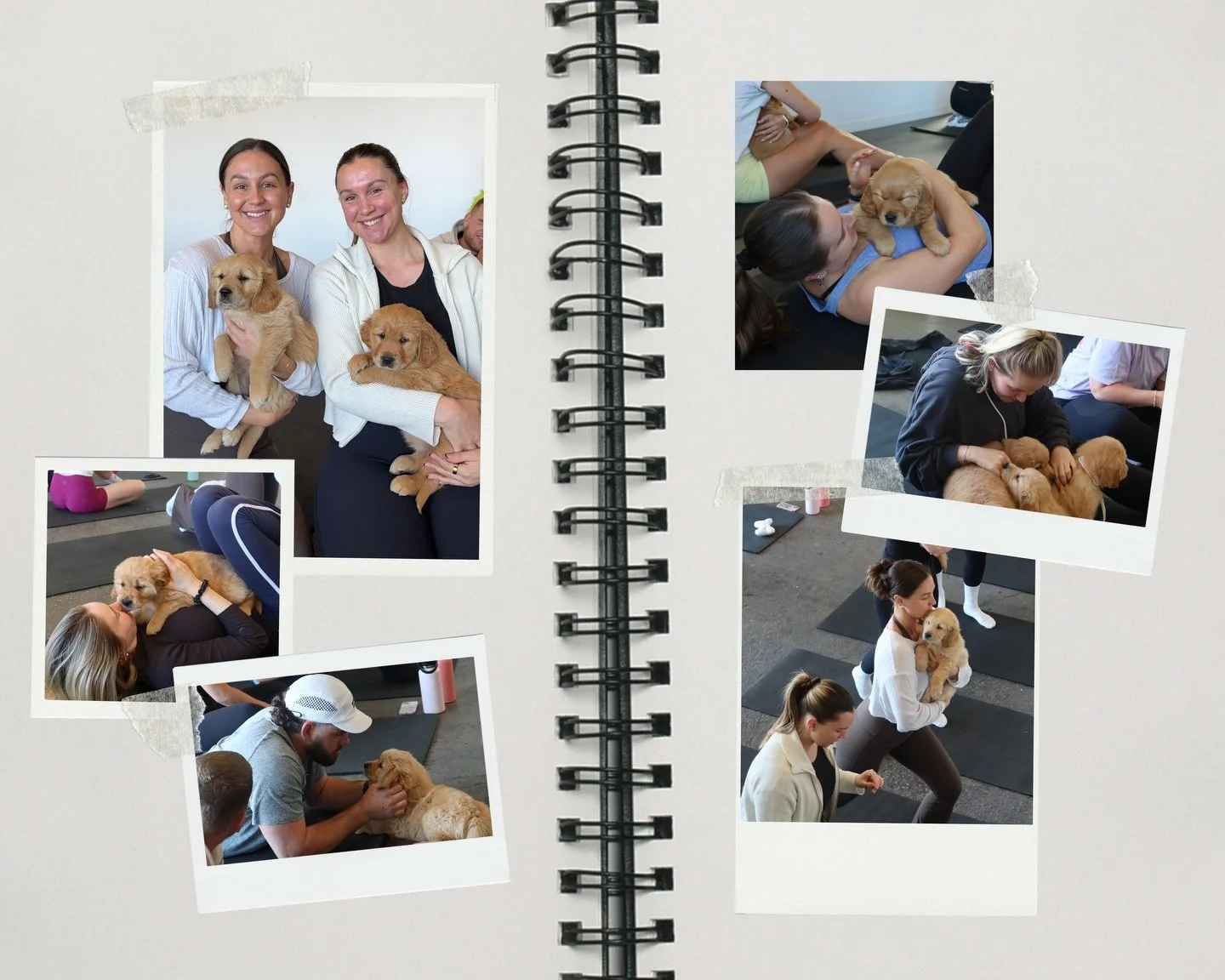 Moving your body + melting your heart 💛✨
We can't wait to see you all on Saturday