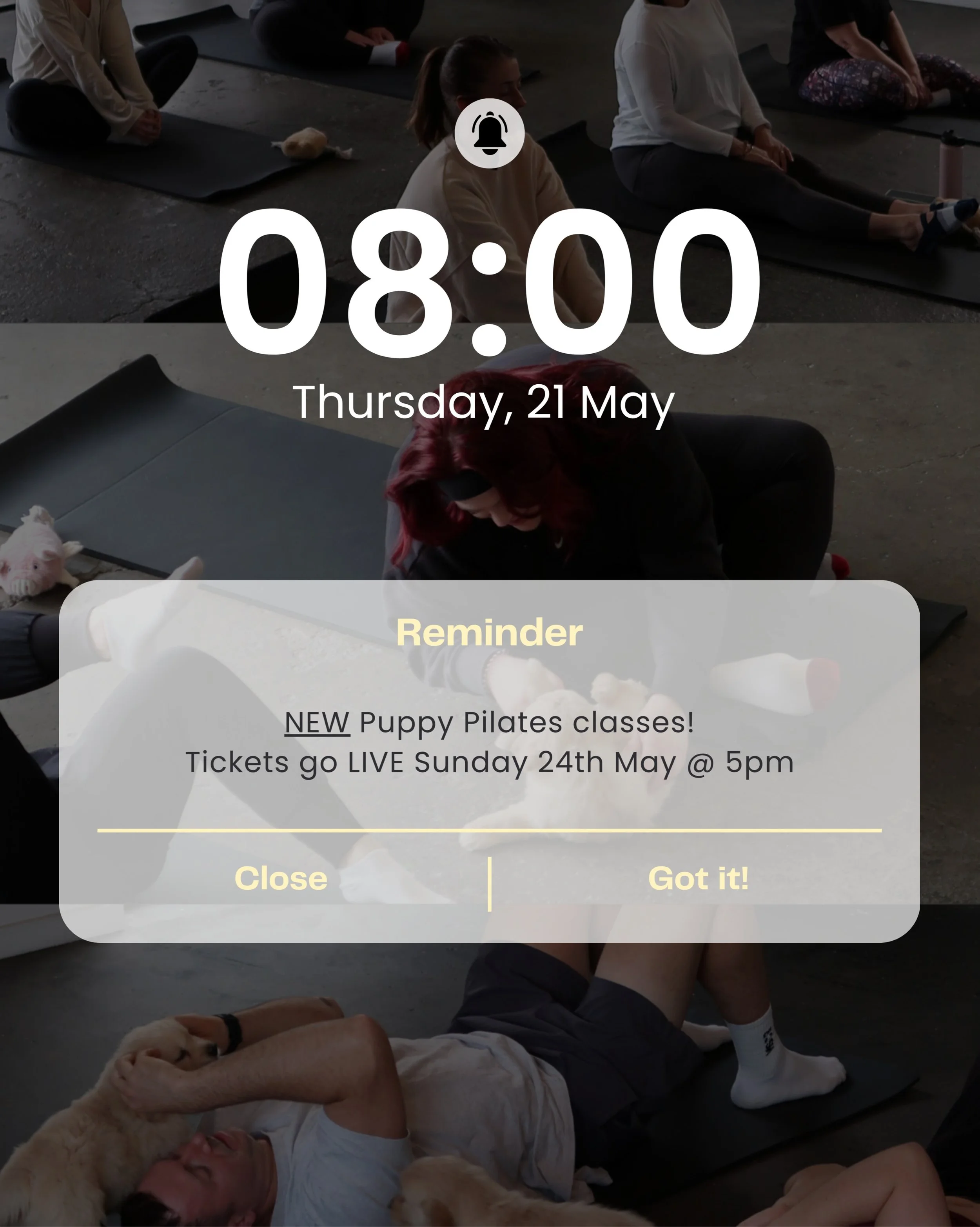 The goldies are back and they cannot wait to meet you! ✨

Our classes sell out quickly so make sure you have your alarms set + the link open @ 5pm this Sunday!

We're looking forward to seeing you on the mat
💛