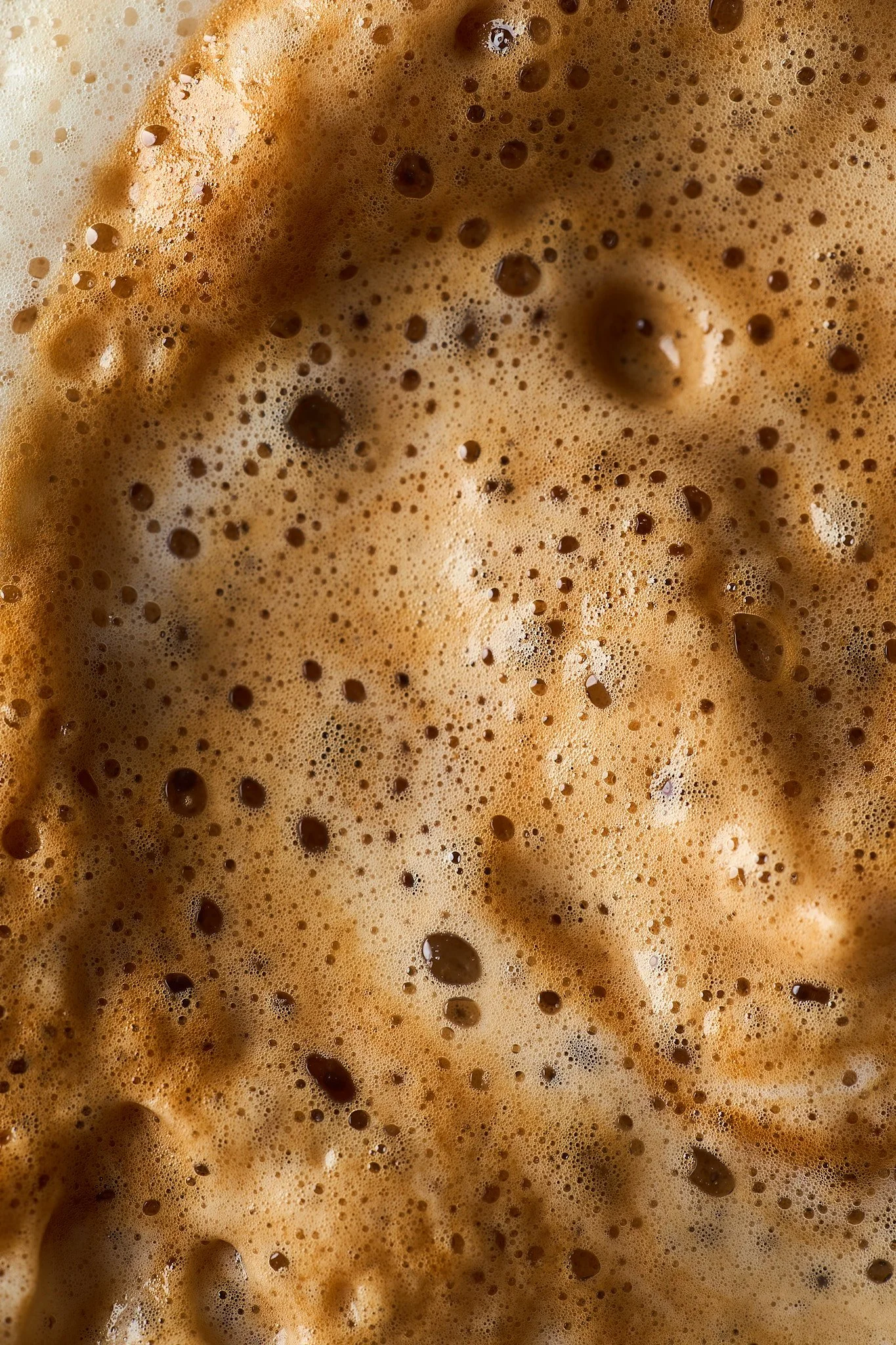 Macro Test2583.jpg
