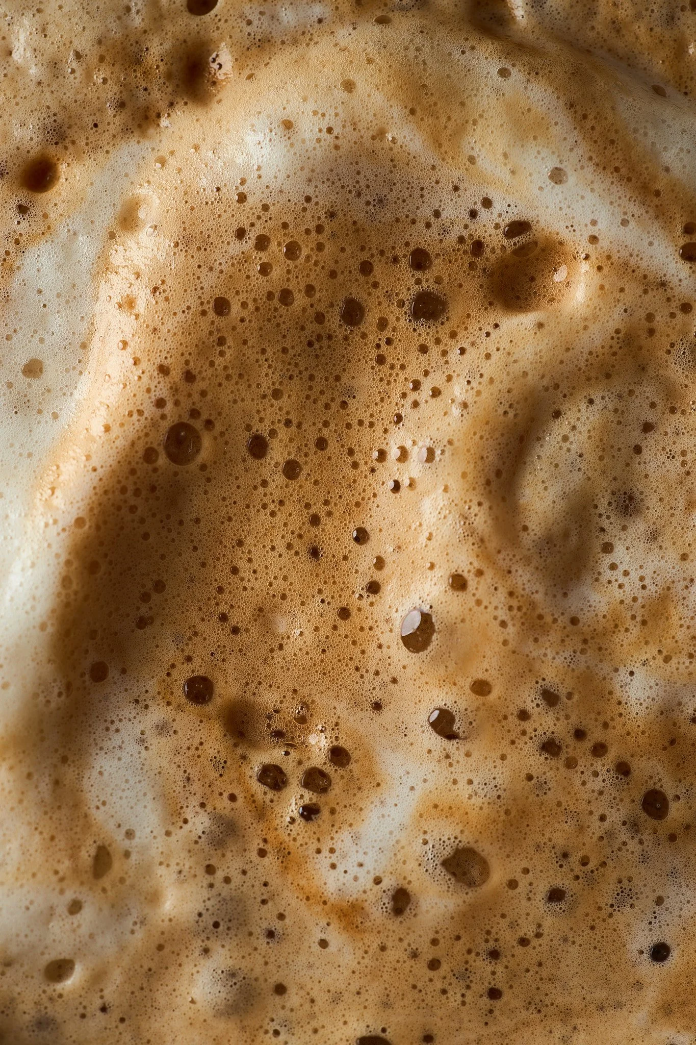Macro Test2346.jpg