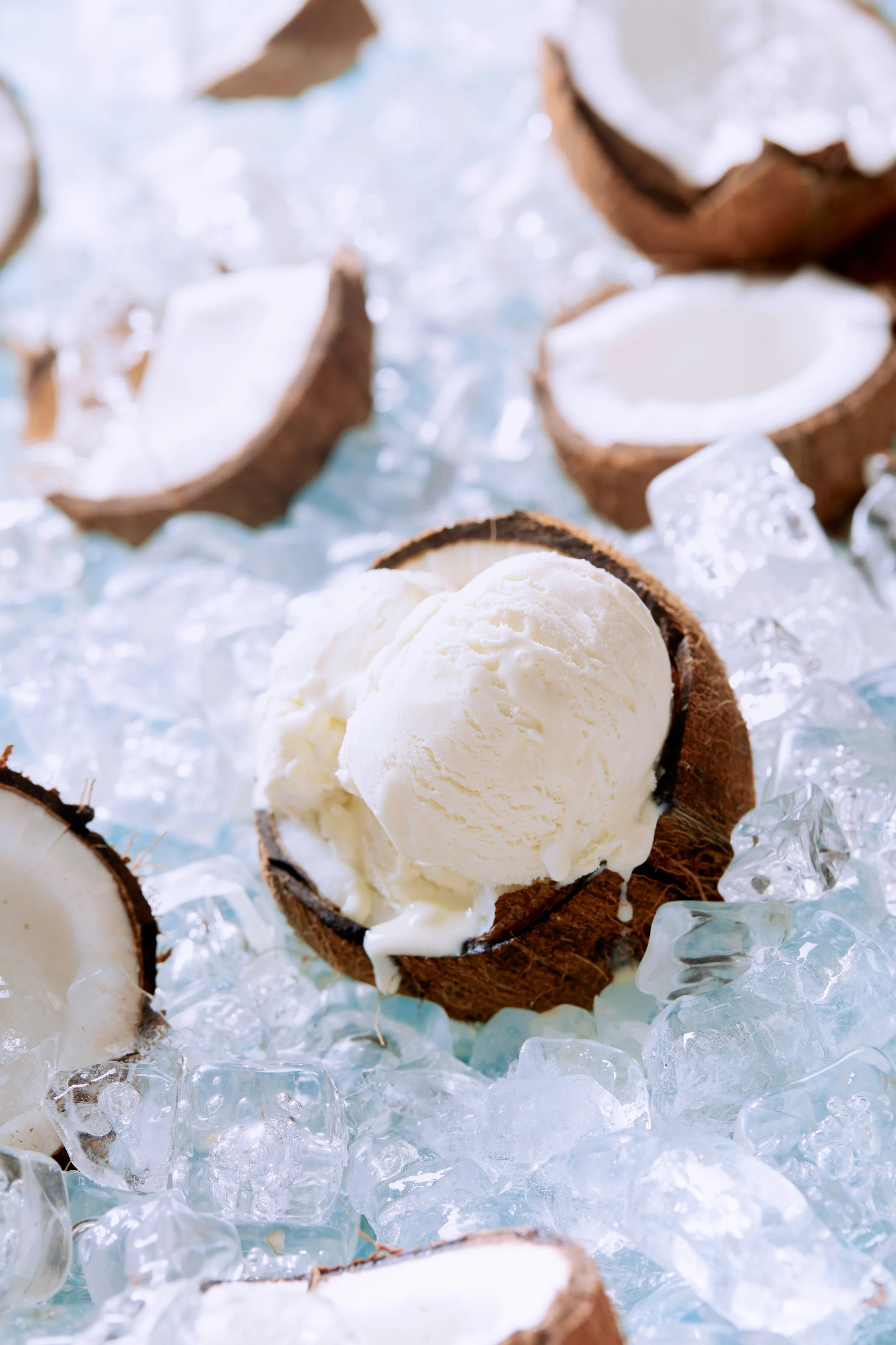 World Coconut Day27035.JPG