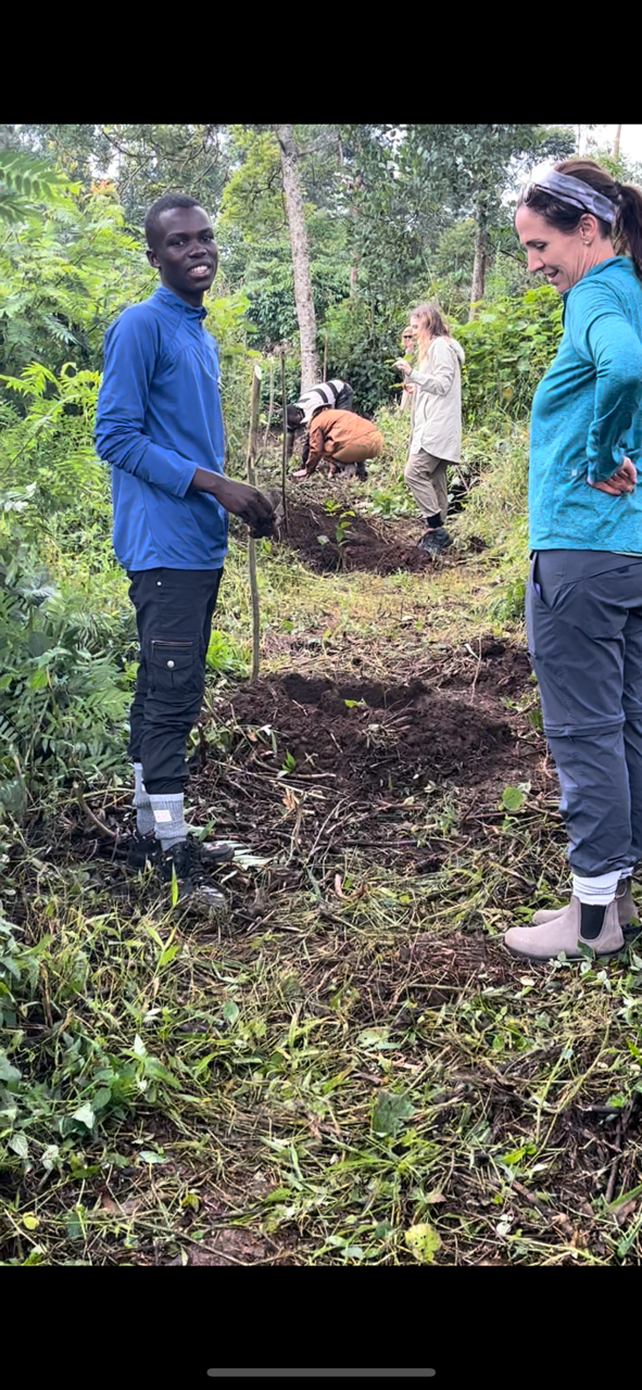 Reforesting Kibale