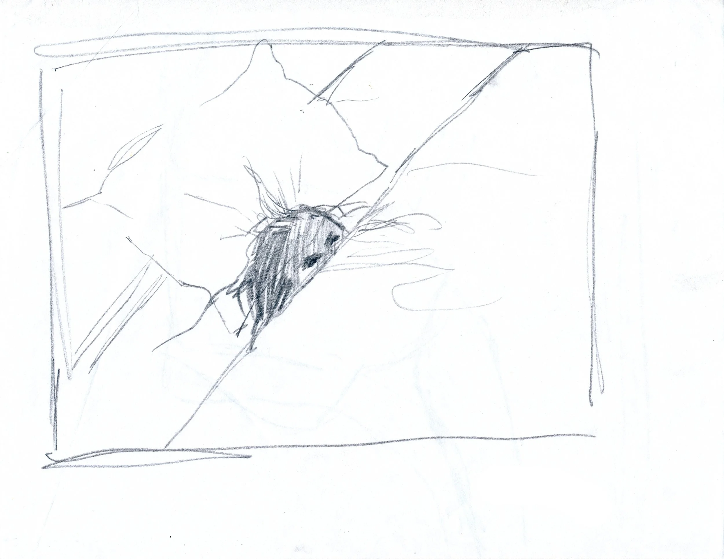 Drawing 50.jpg