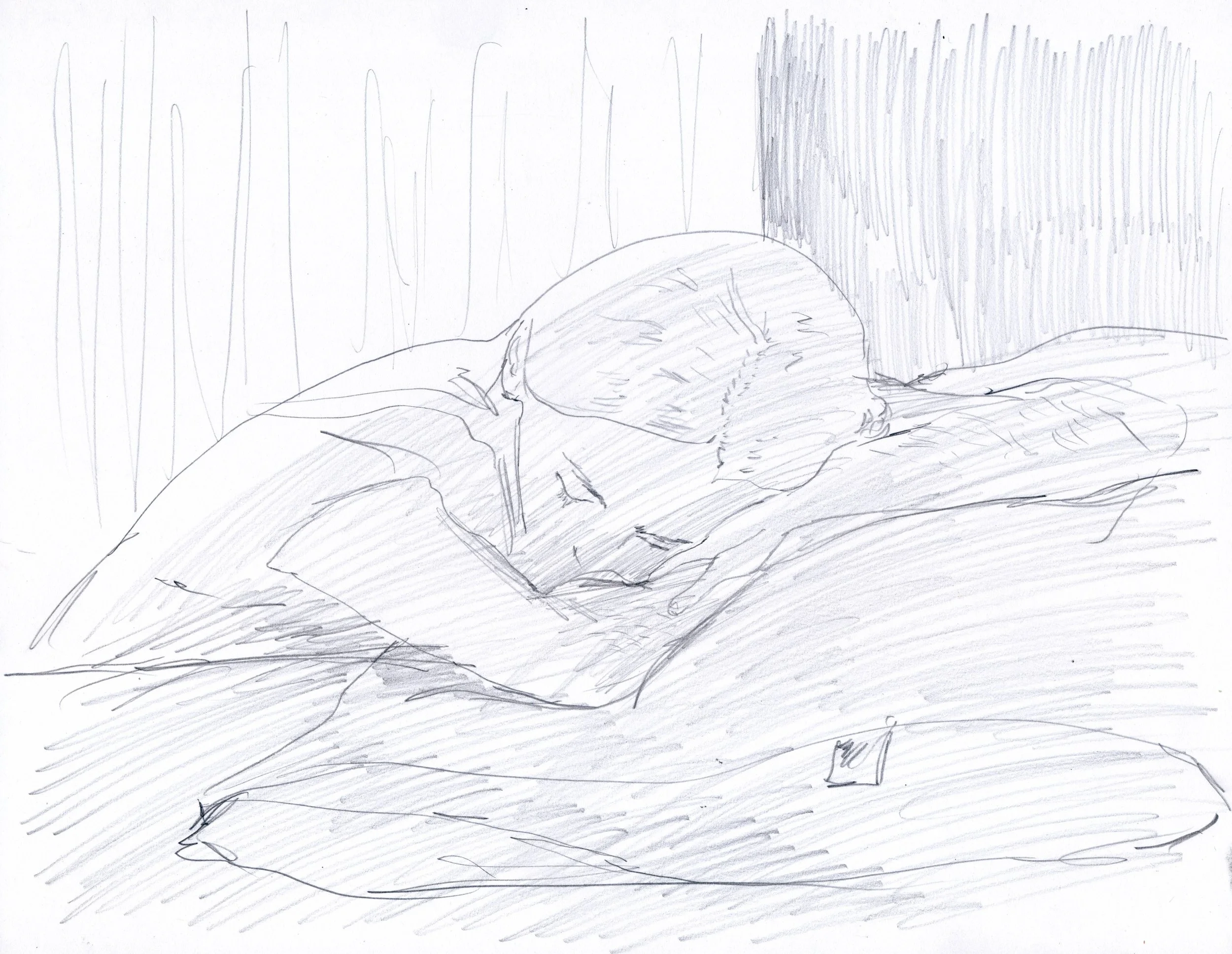 Drawing 38.jpg