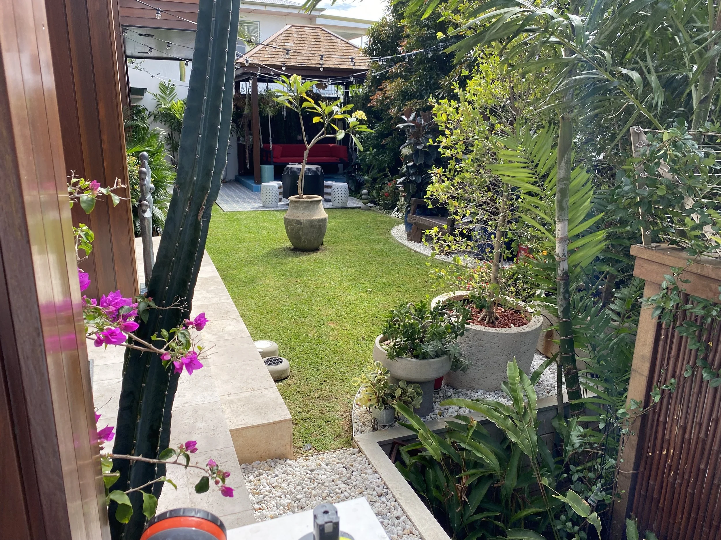 A lush backyard garden with potted plants, a small grassy area, and a sitting zone with a canopy and string lights.