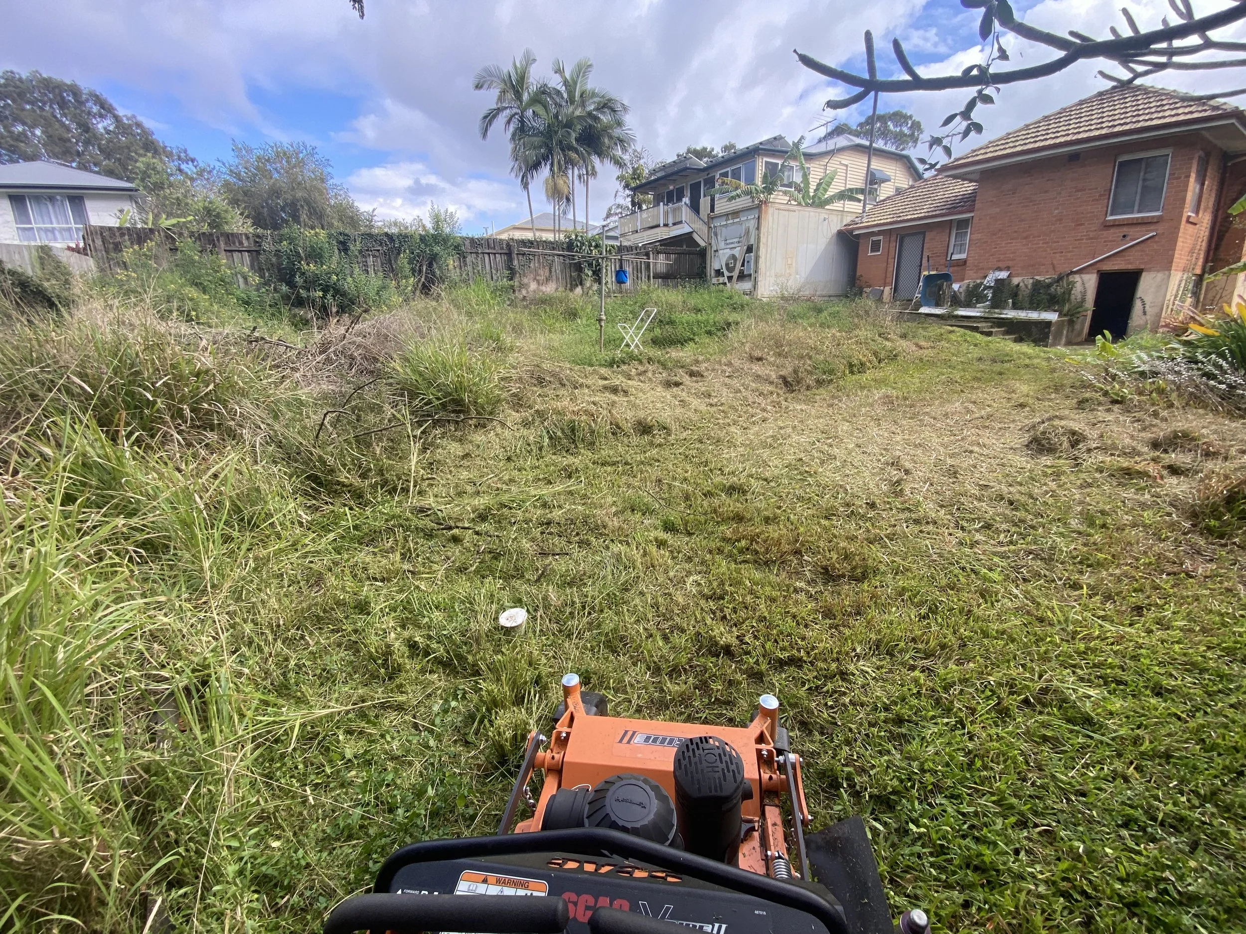 A lawnmower in an overgrown backyard with houses and trees in the background.