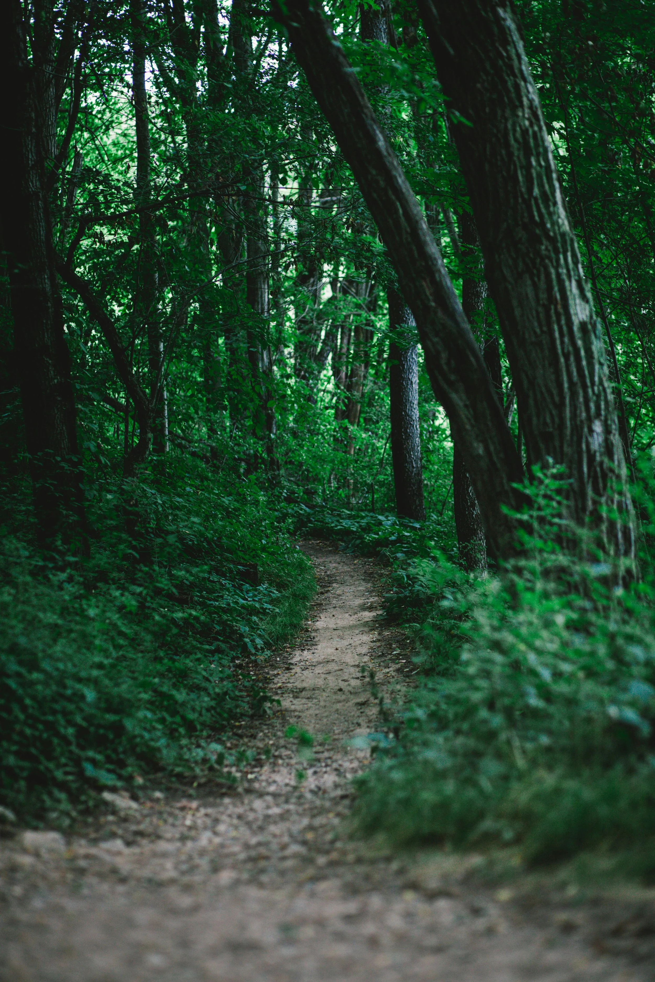 maddy-baker-vII834XaQsE-unsplash.jpg
