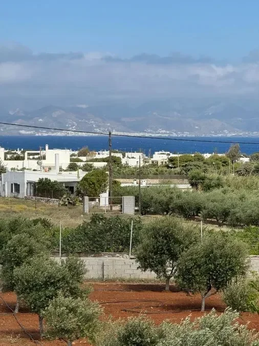 Plot of Land 10 acres Paros Ampelas