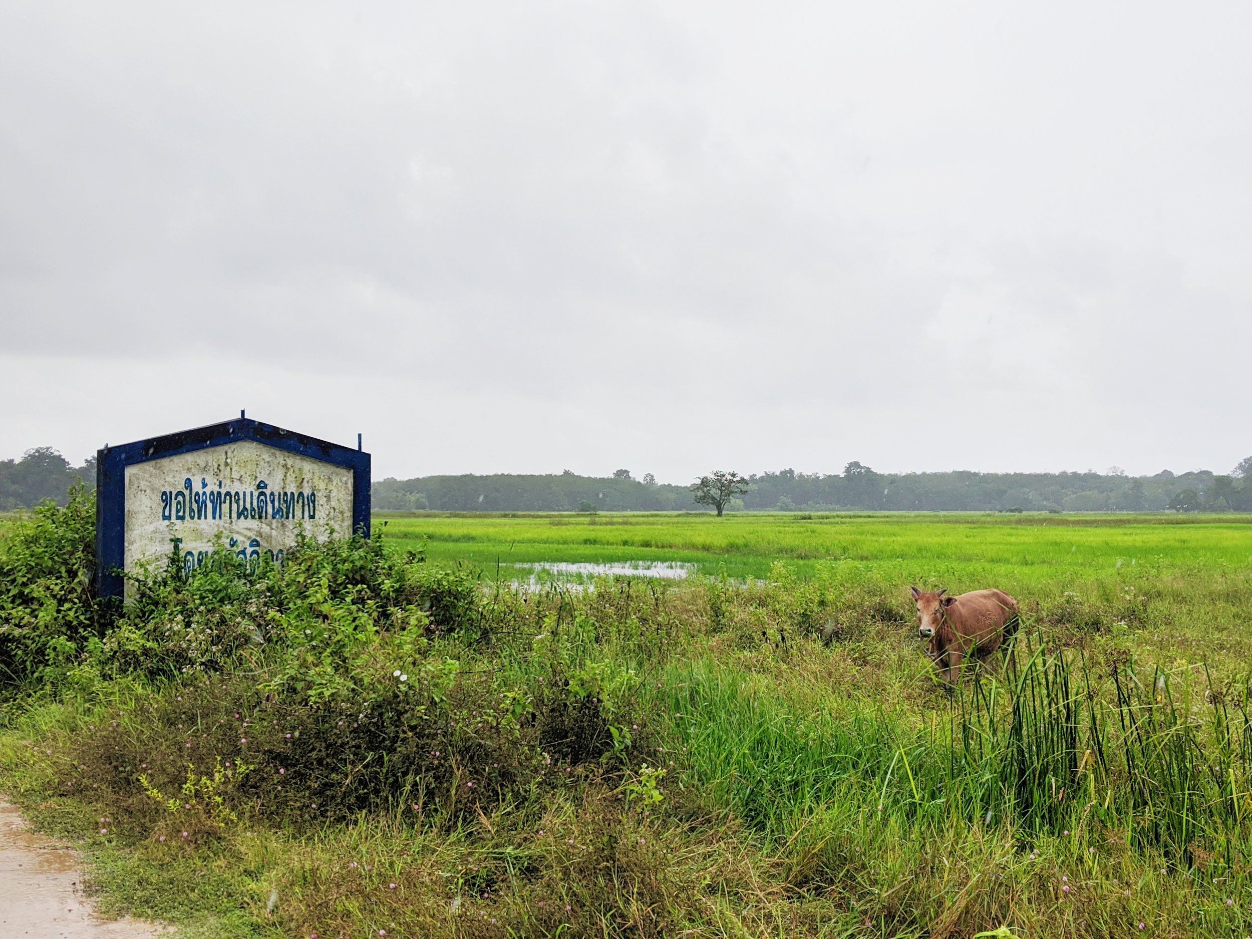 2019-11-30 01.51.33 2.jpg