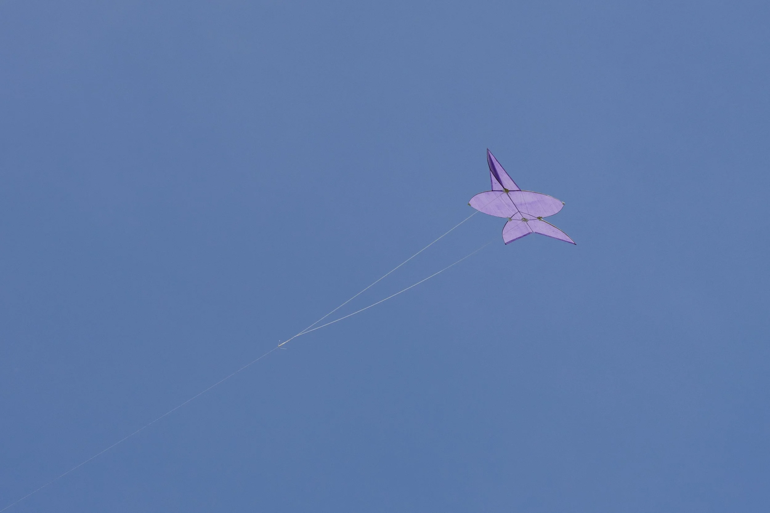 KITE-25.JPG