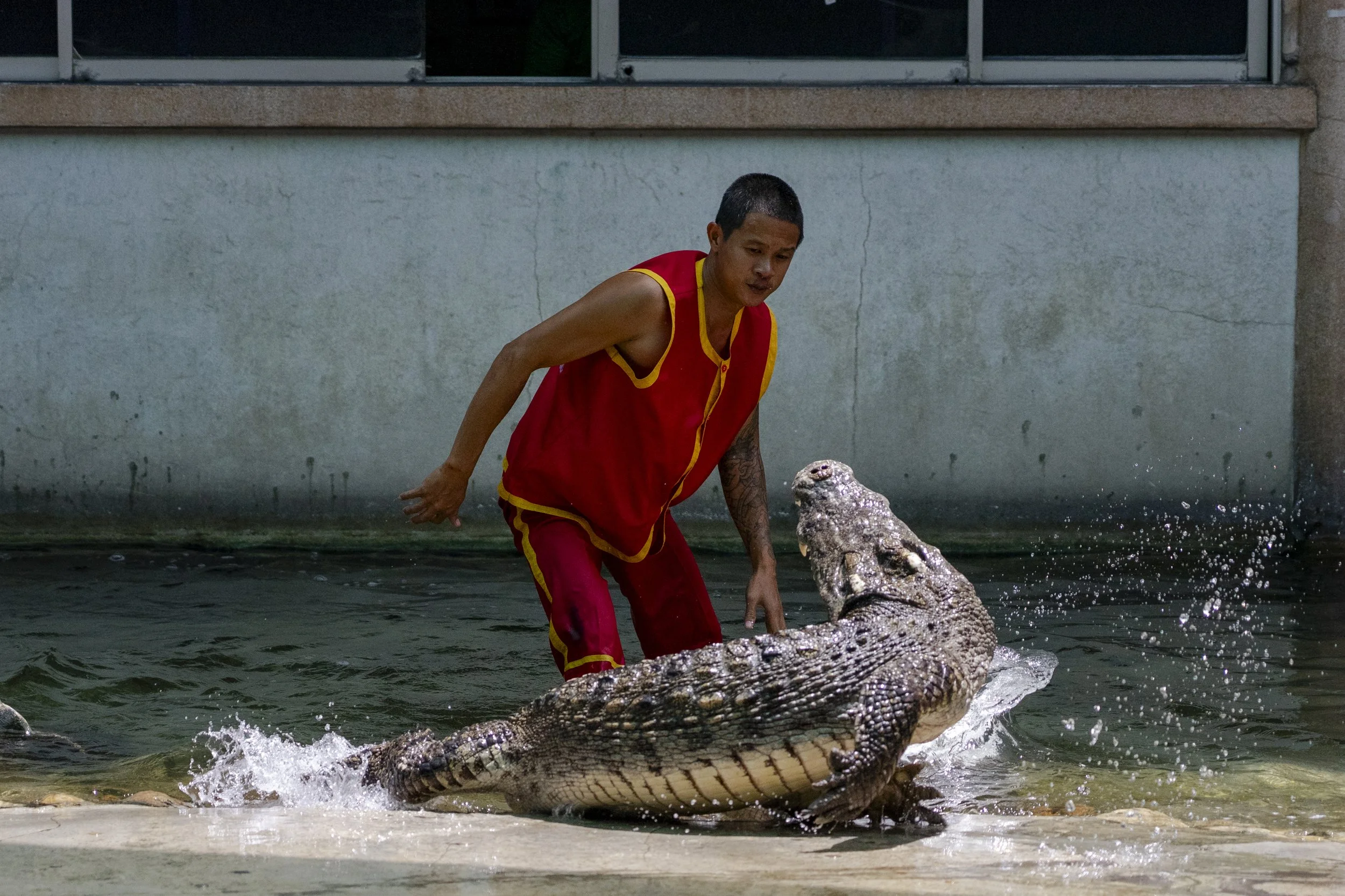 Crocodile Wrestlers