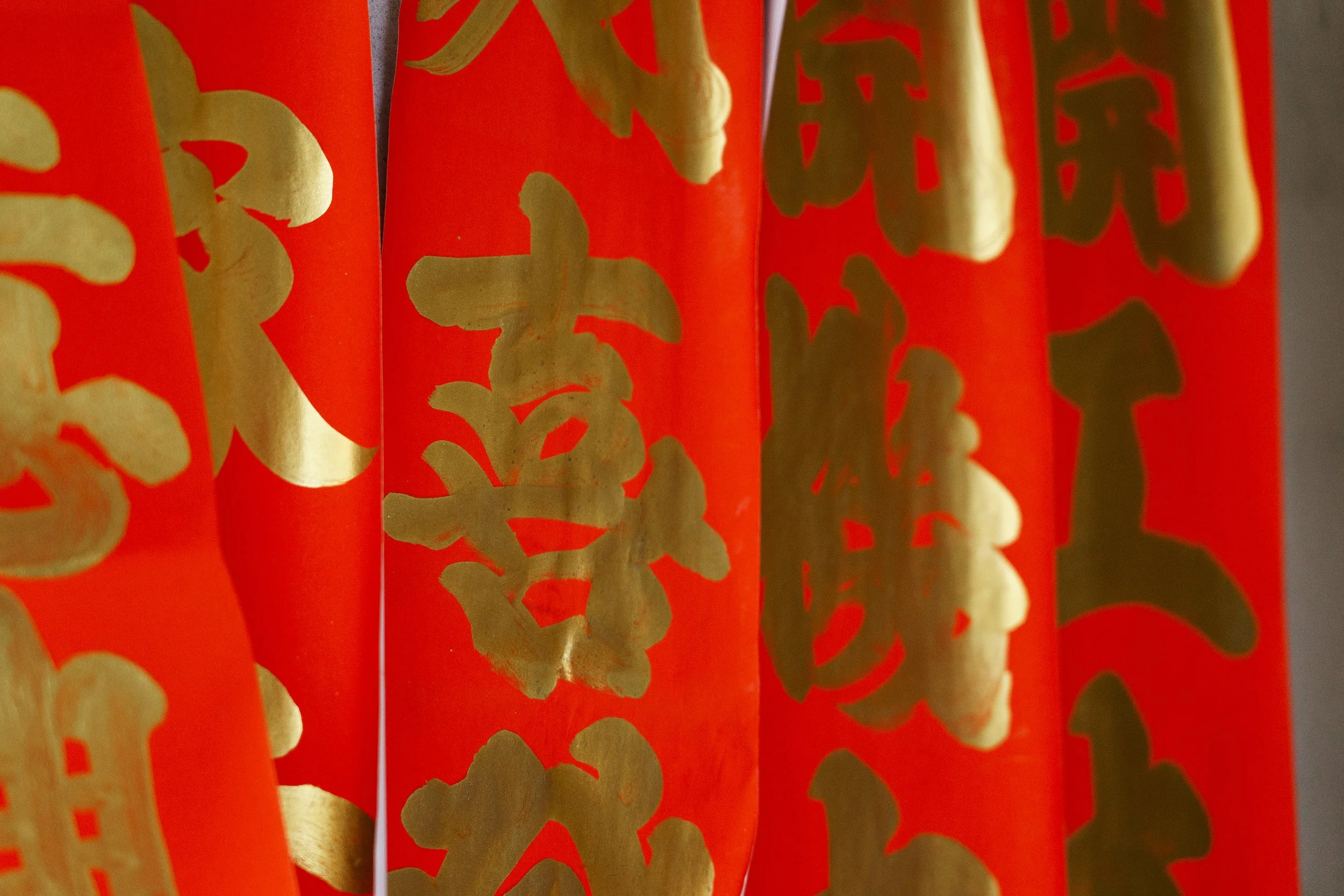 WARI20250131-09-13-12 (smaller).jpg