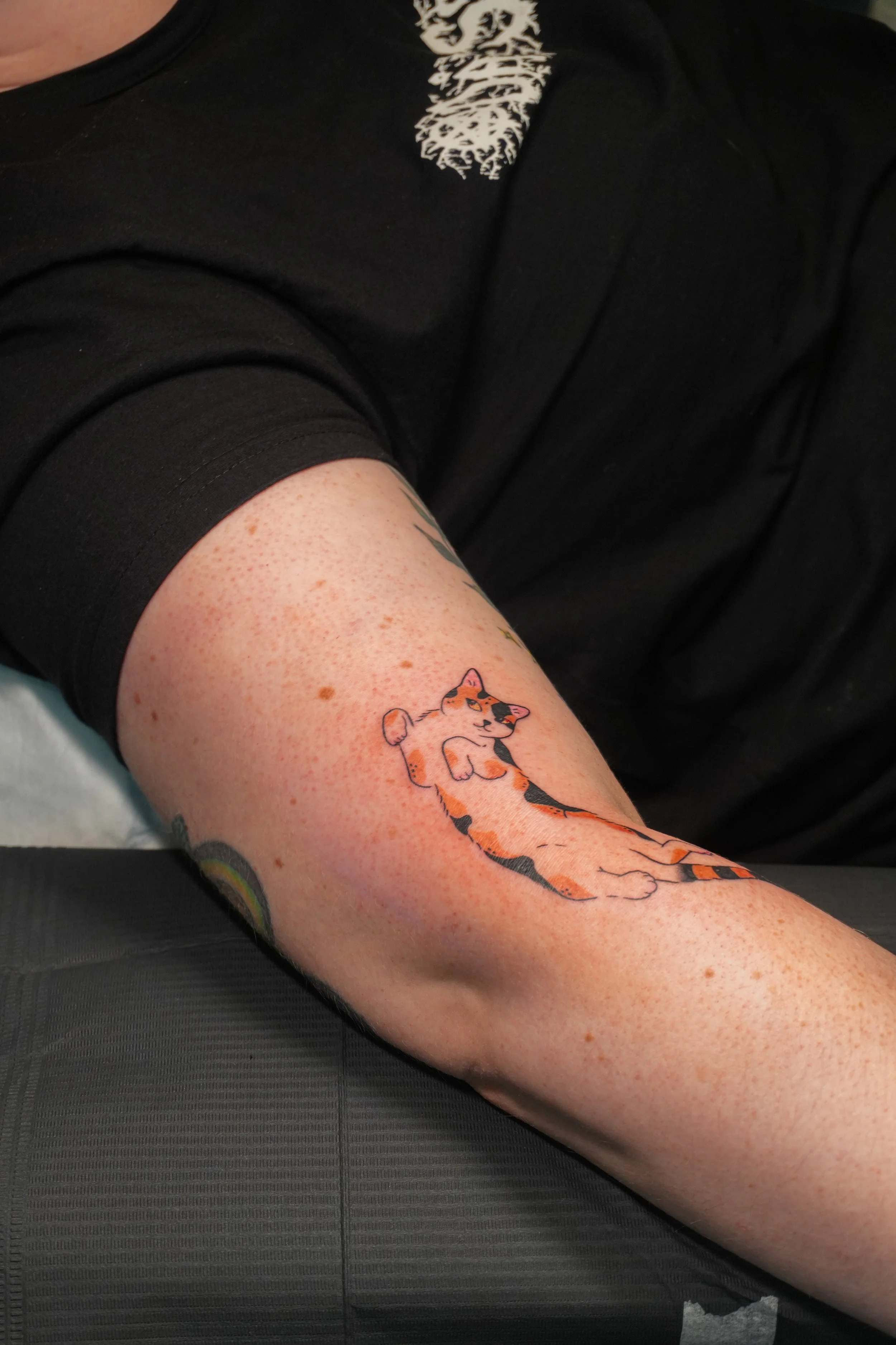 Bilde 23.10.2025, 14 40 55.jpg