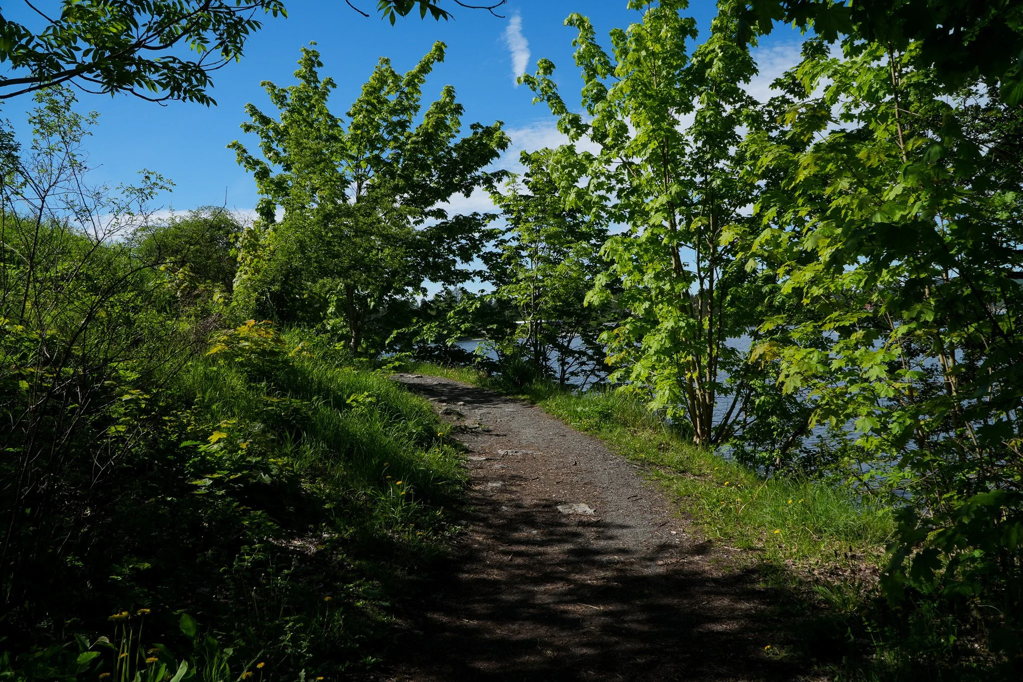 DSC01183-2.jpg