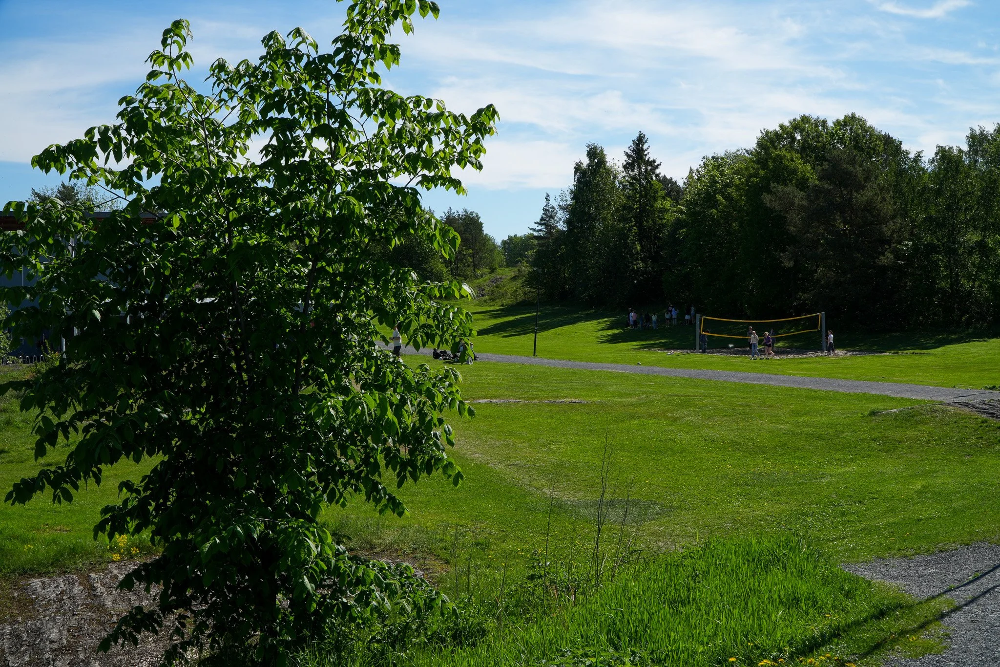 DSC01150-2.jpg