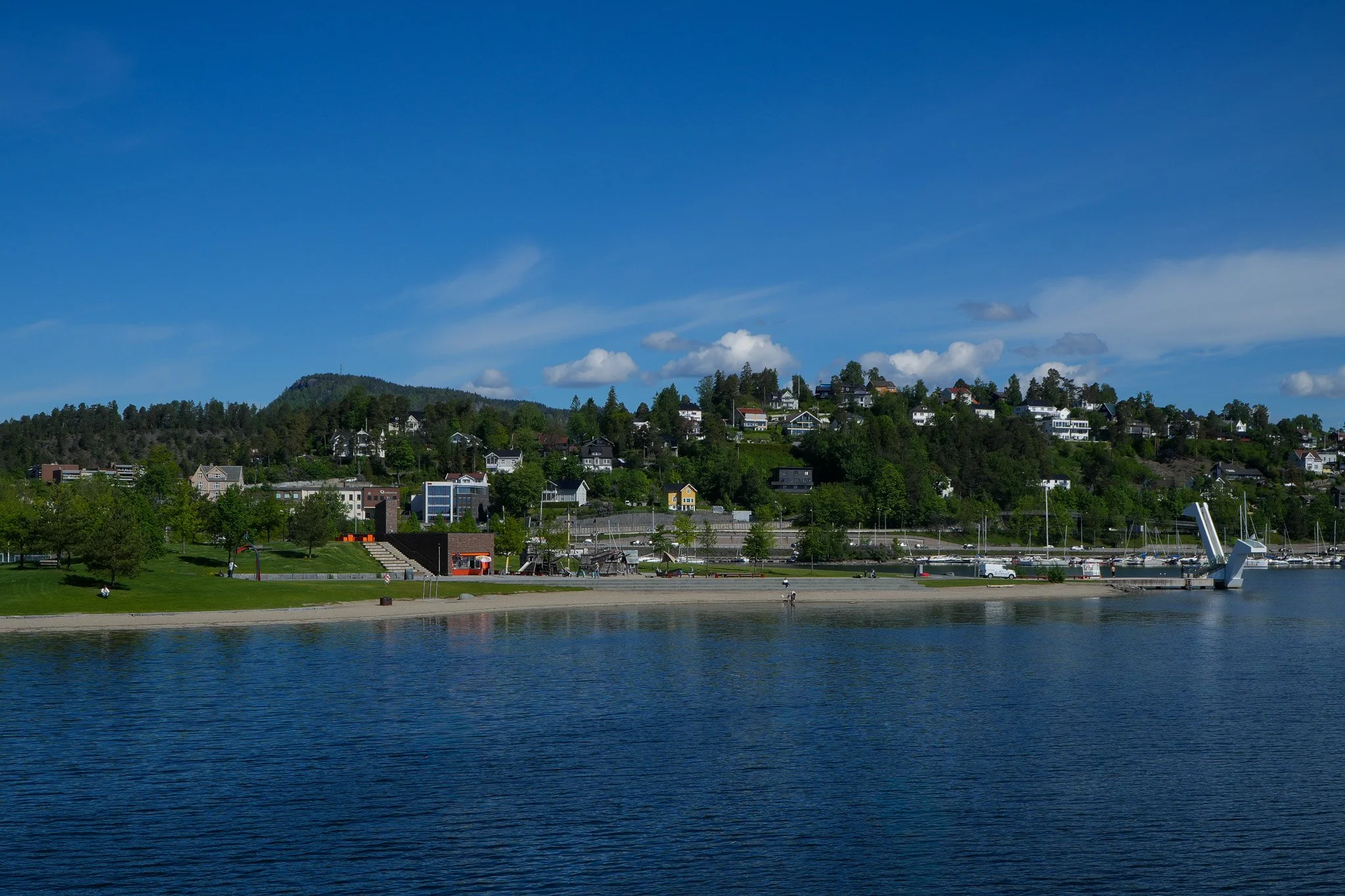 DSC01141-2.jpg