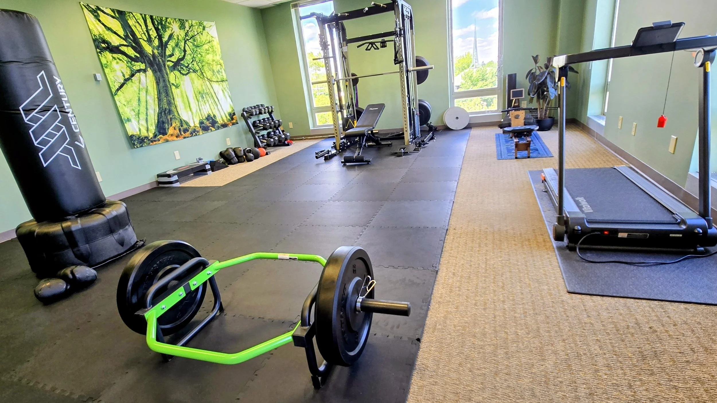 therapy office with gym equipment for Rooted Motion therapy at joshua tree therapy in columbus ohio